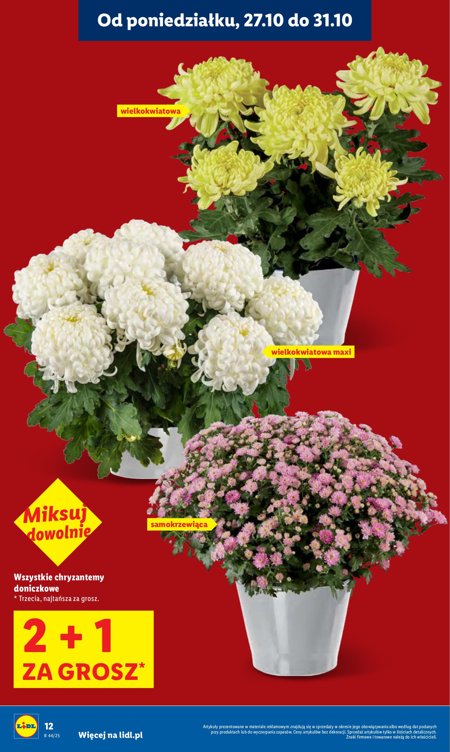 lidl - Gazetka Lidl - ważna od 27.10. do 29.10. - page: 12 lidl - Gazetka Lidl - ważna od 27.10. do 29.10. - page: 12