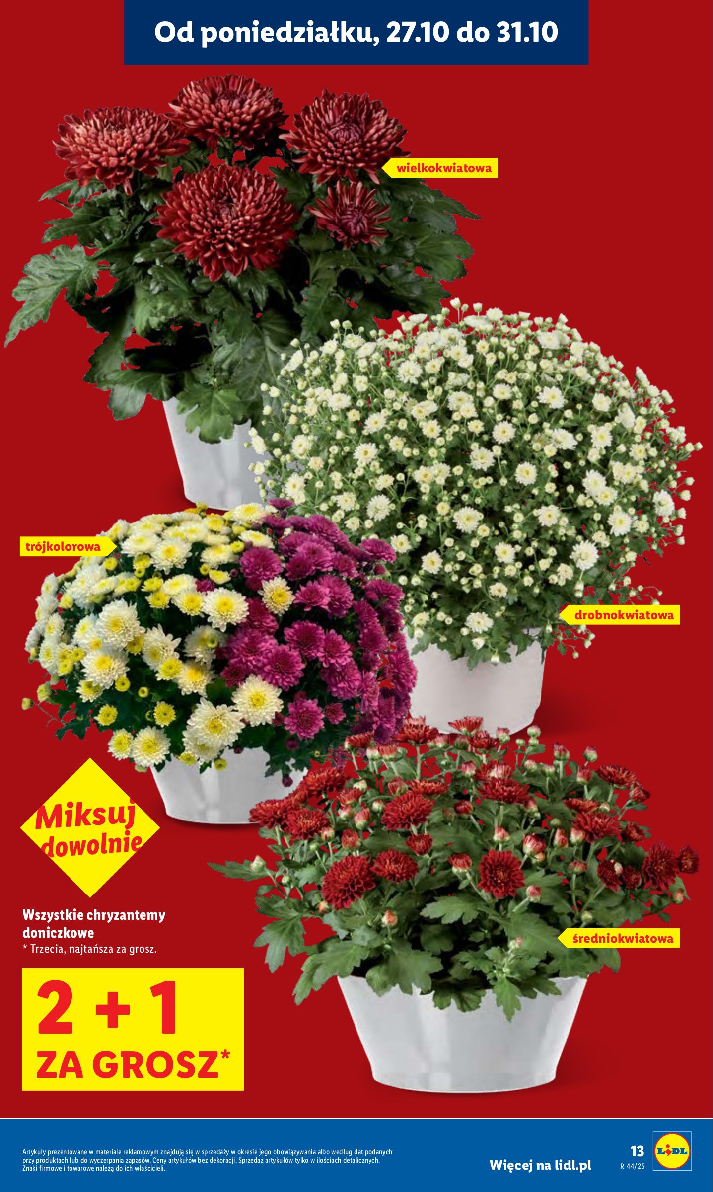 lidl - Gazetka Lidl - ważna od 27.10. do 29.10. - page: 13 lidl - Gazetka Lidl - ważna od 27.10. do 29.10. - page: 13