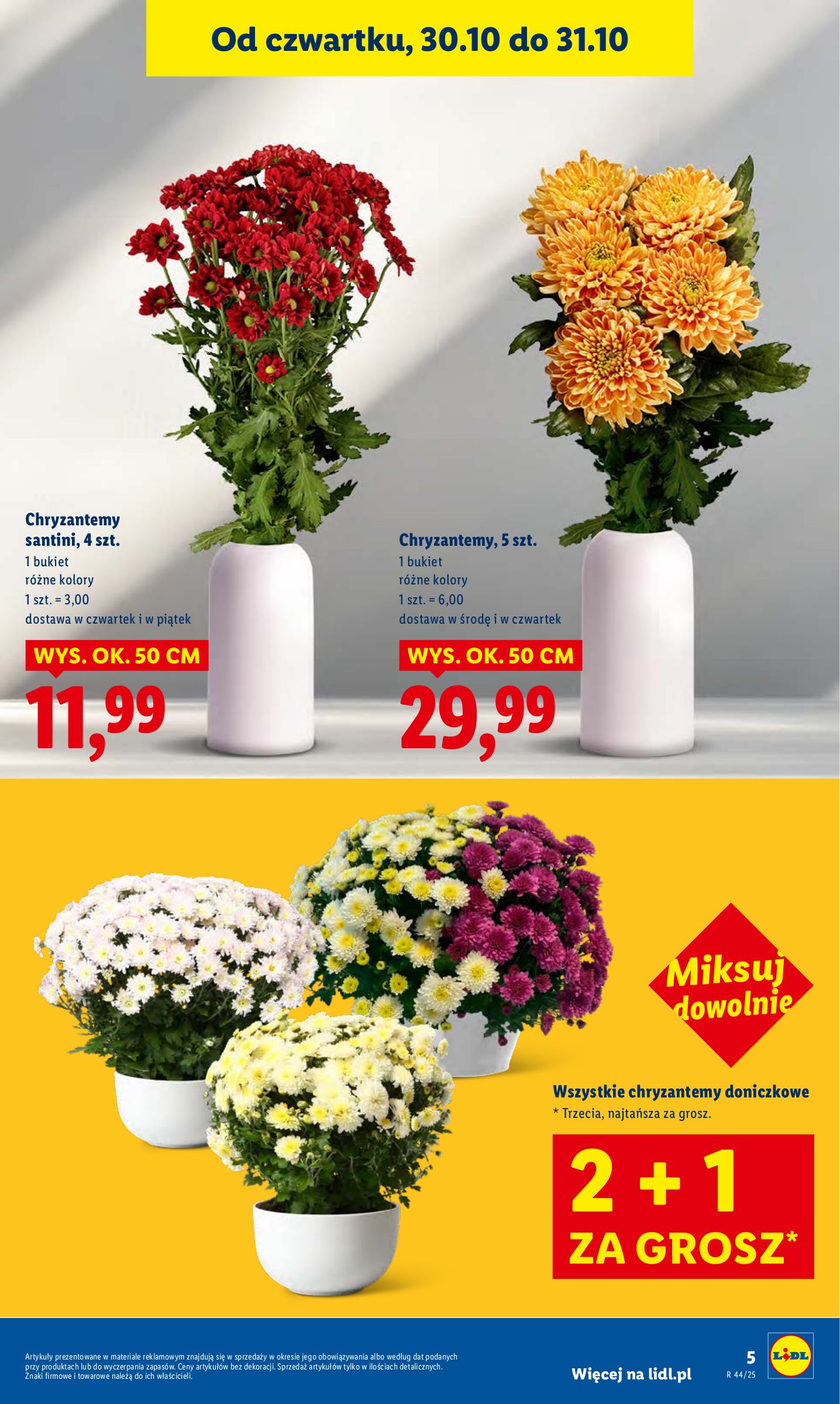 lidl - Gazetka Lidl - ważna od 30.10. do 31.10. - page: 5