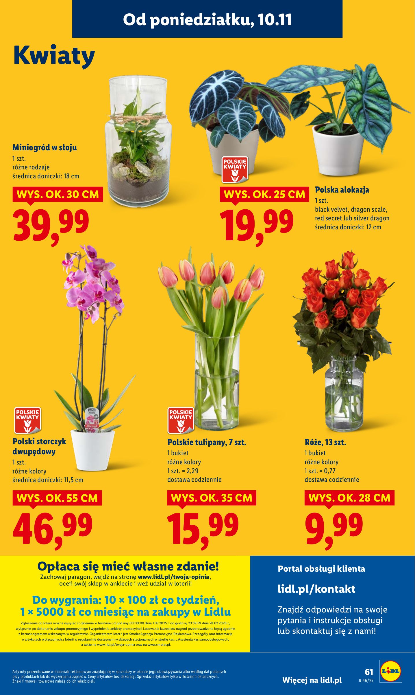 lidl - Gazetka Lidl - ważna od 10.11. do 12.11. - page: 63