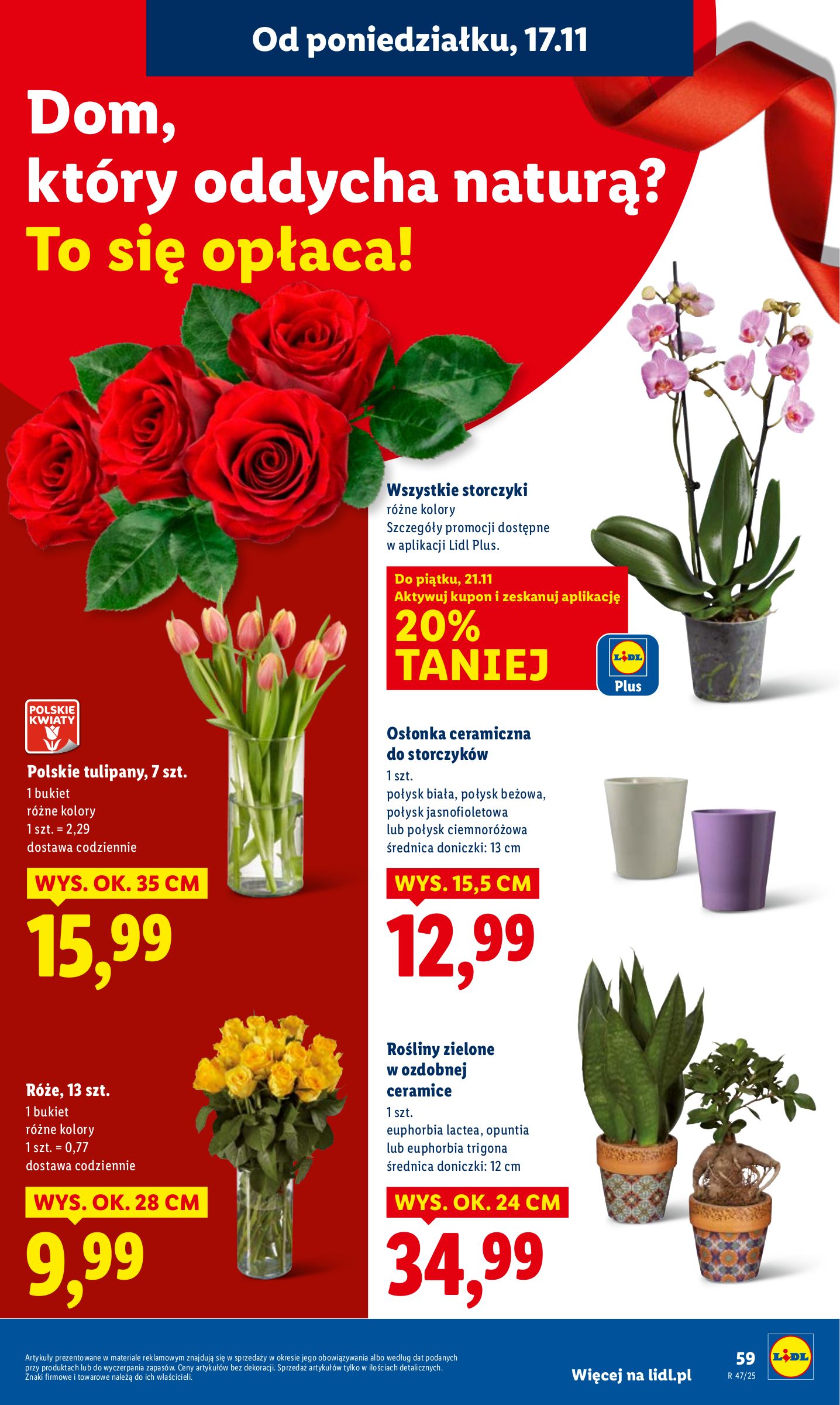lidl - Gazetka Lidl - ważna od 17.11. do 19.11. - page: 59