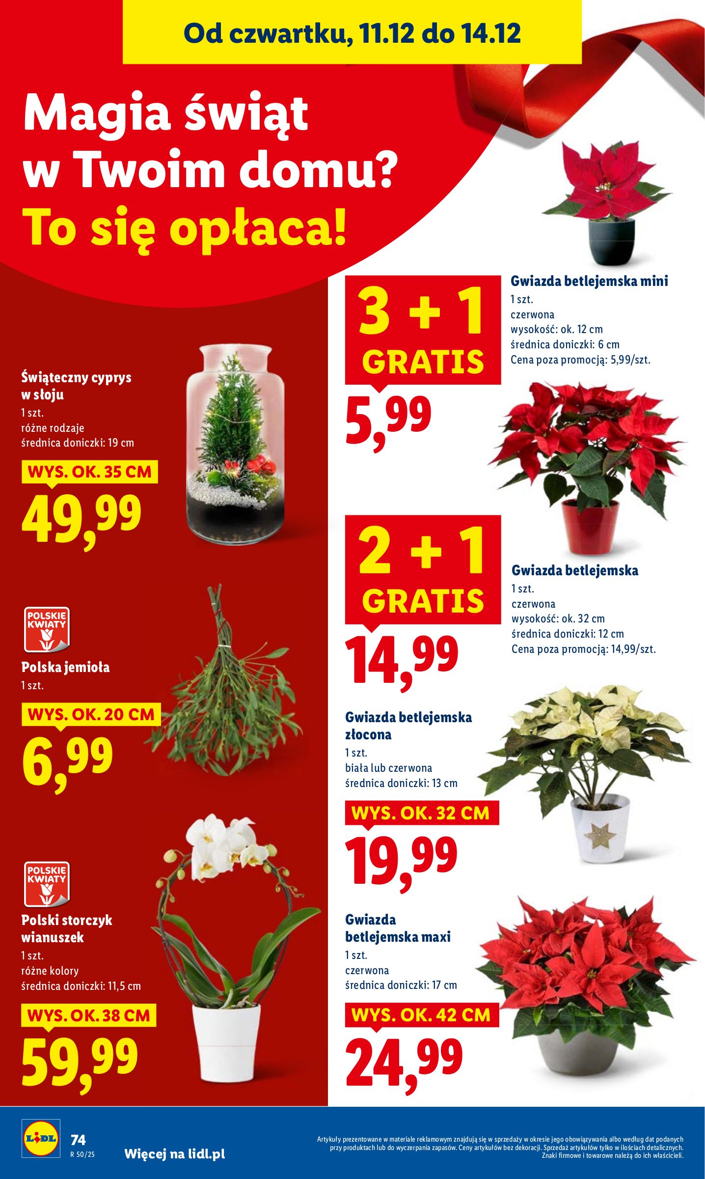lidl - Gazetka Lidl - ważna od 11.12. do 14.12. - page: 74