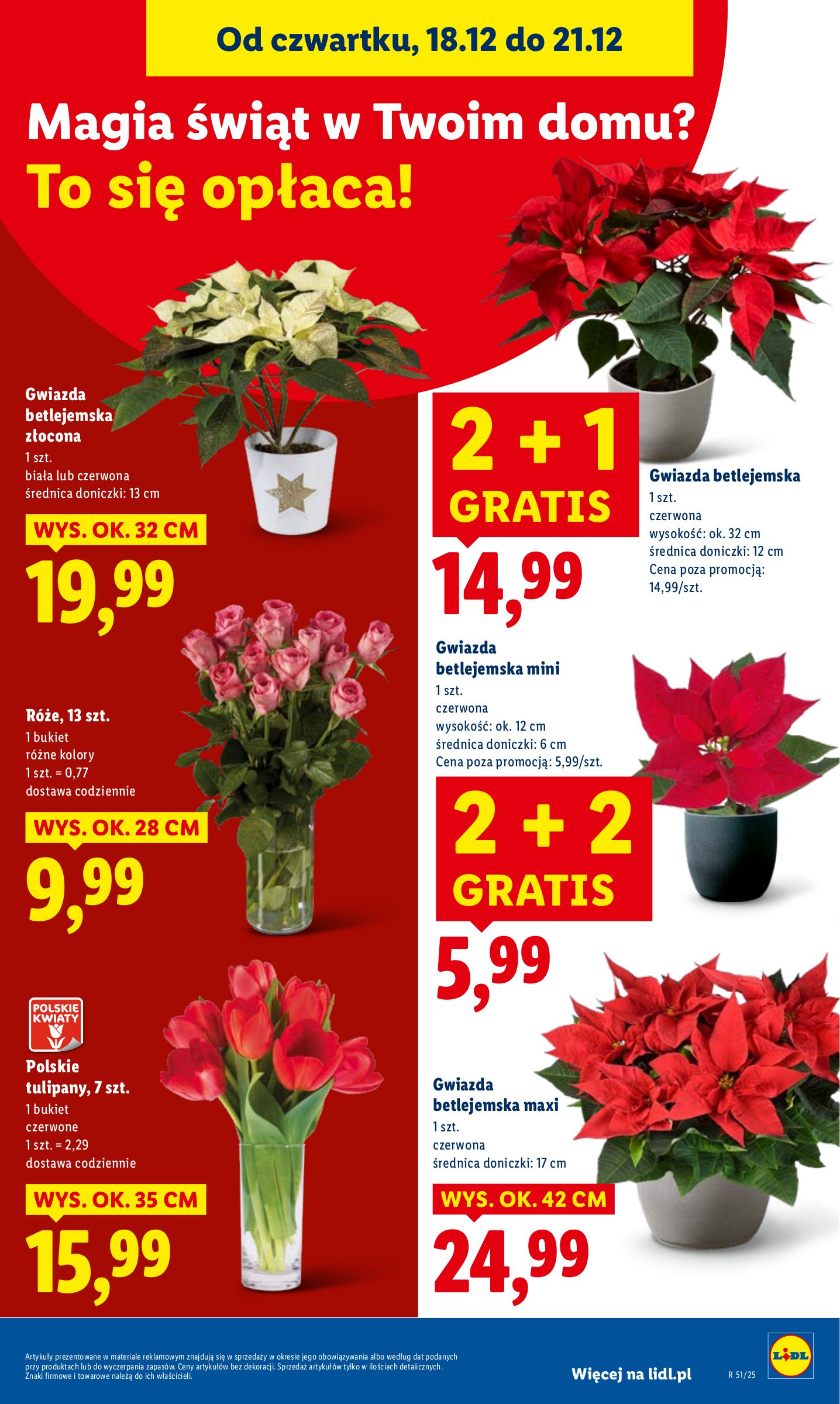 lidl - Gazetka Lidl - ważna od 18.12. do 21.12. - page: 33