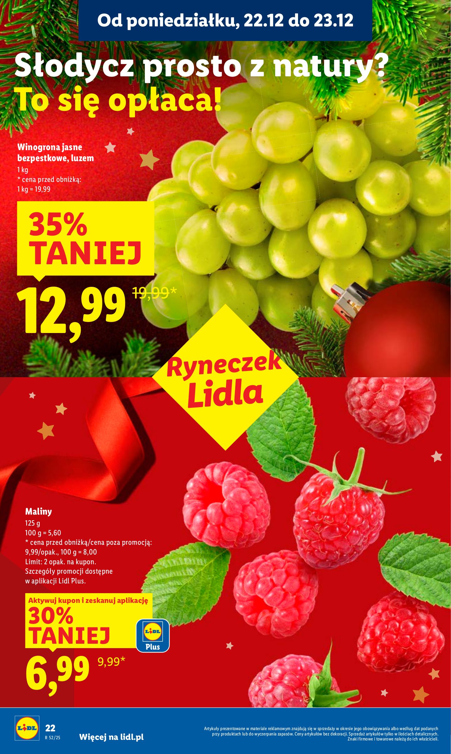 lidl - Gazetka Lidl - ważna od 22.12. do 23.12. - page: 24