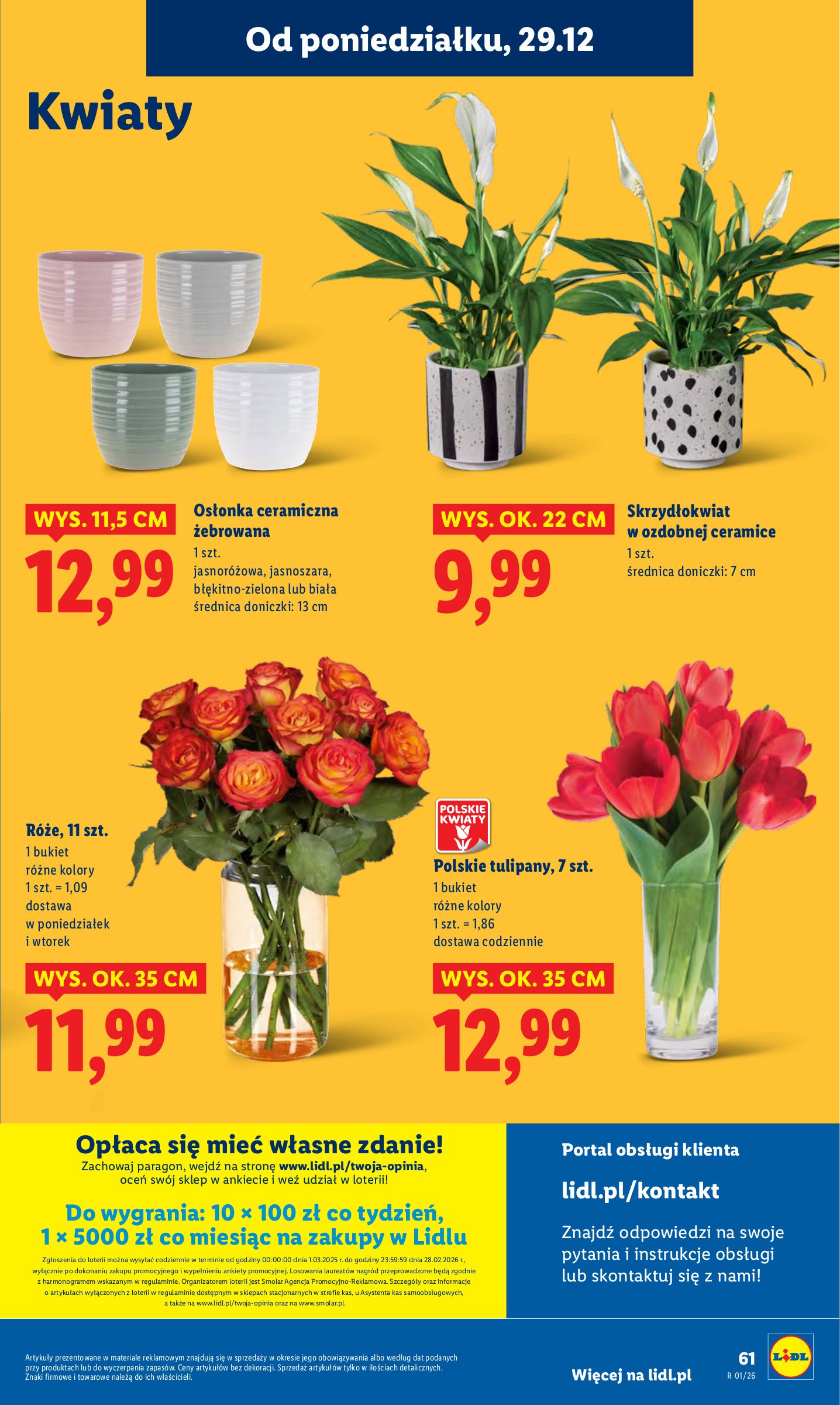 lidl - Gazetka Lidl - ważna od 29.12. do 31.12. - page: 61