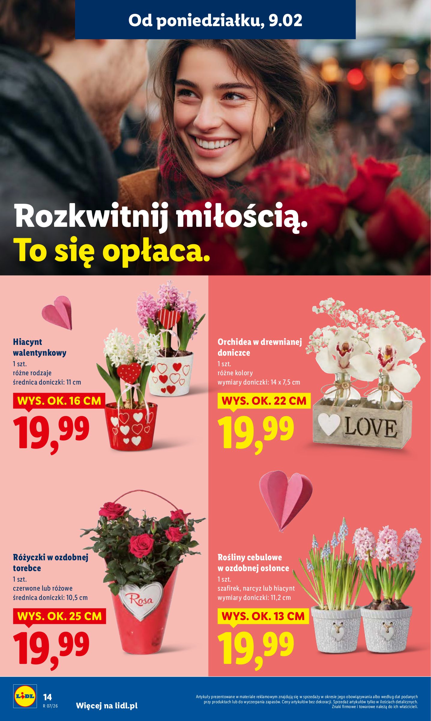 lidl - Gazetka Lidl - ważna od 09.02.2026 do 11.02.2026 - page: 14