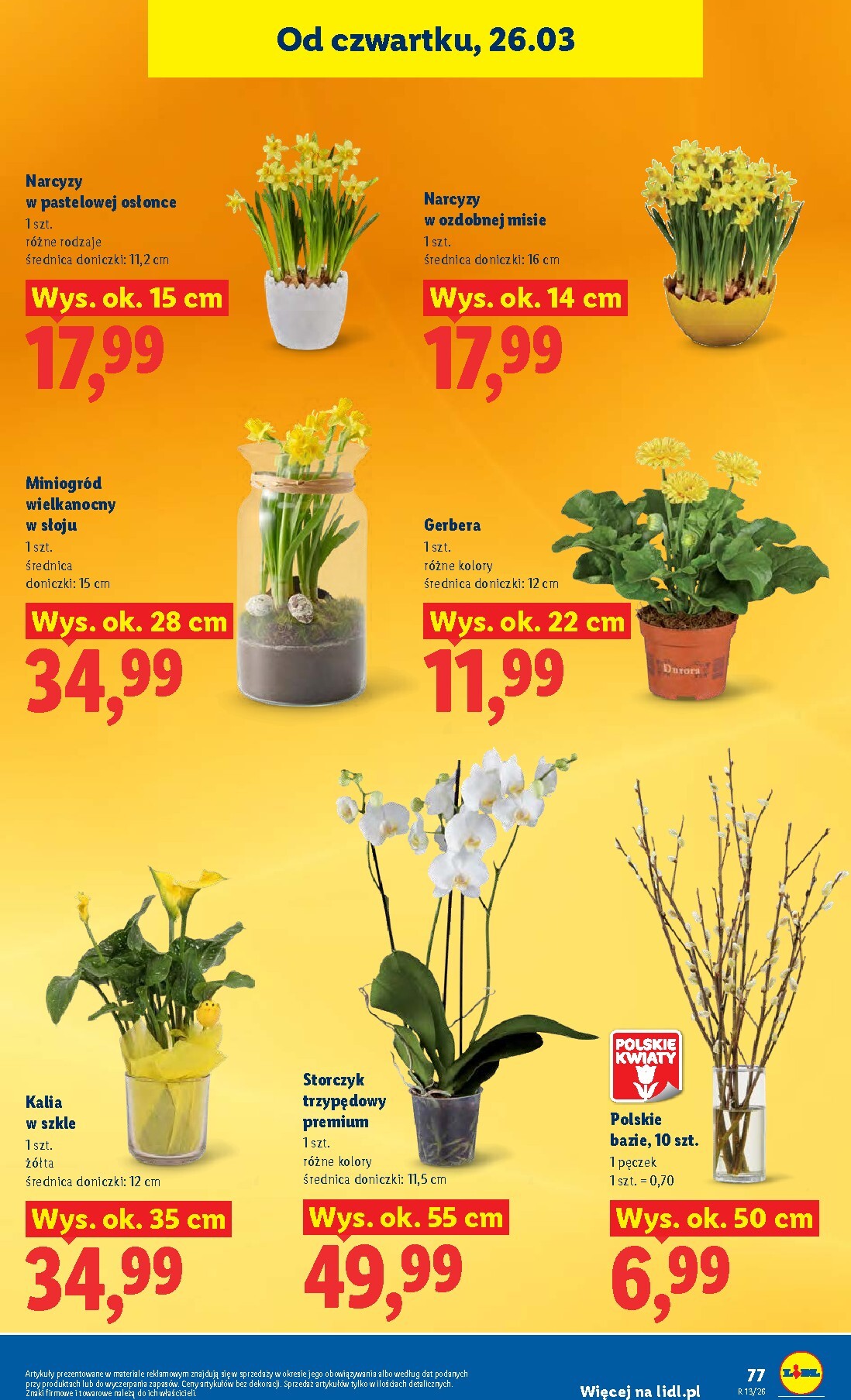 lidl - Gazetka Lidl - ważna od 26.03.2026 do 29.03.2026 - page: 77