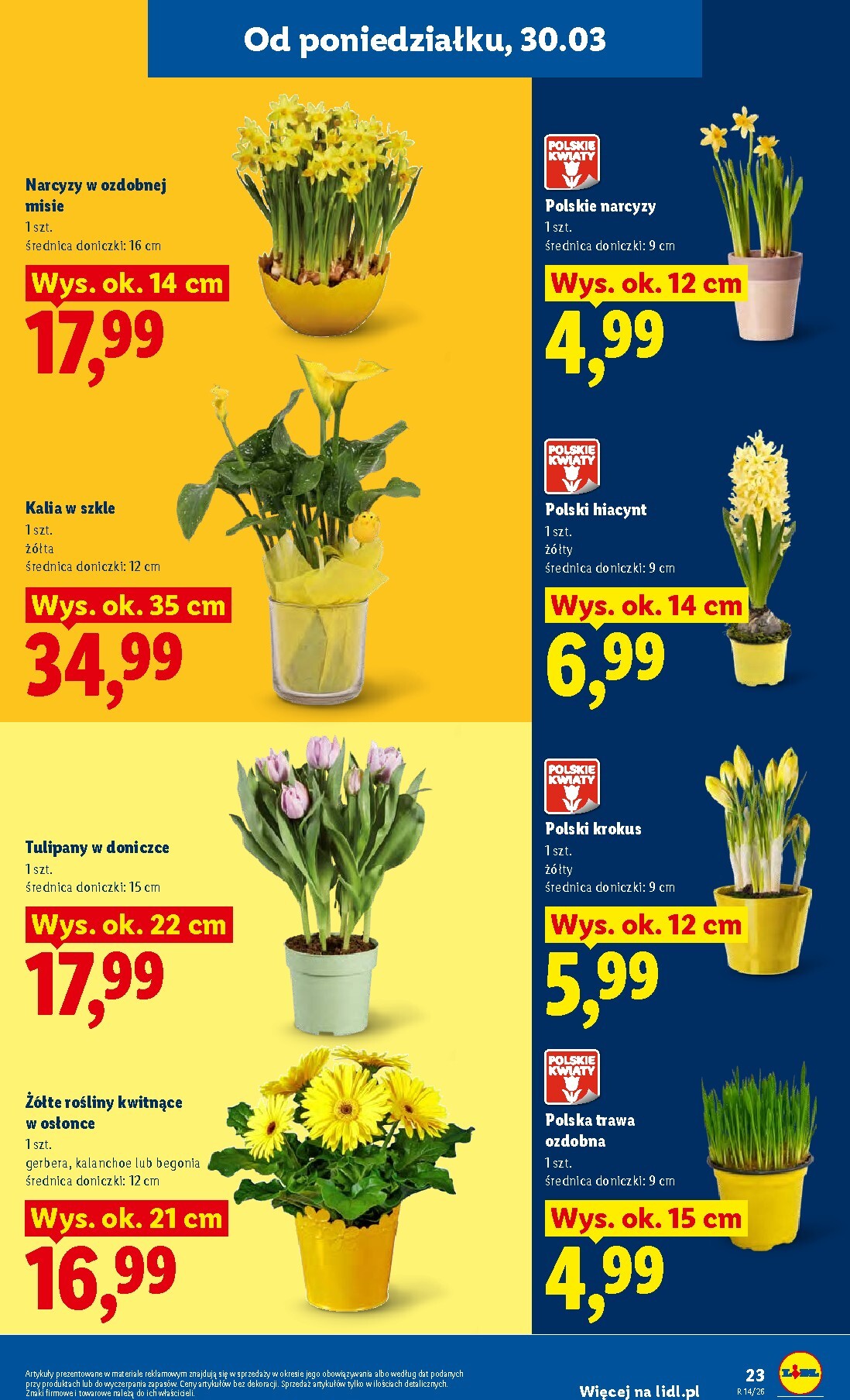 lidl - Gazetka Lidl - ważna od 30.03.2026 do 01.04.2026 - page: 23