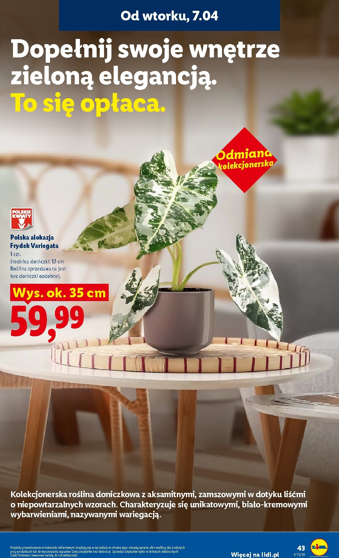 lidl - Gazetka Lidl - ważna od 07.04.2026 do 08.04.2026 - page: 47