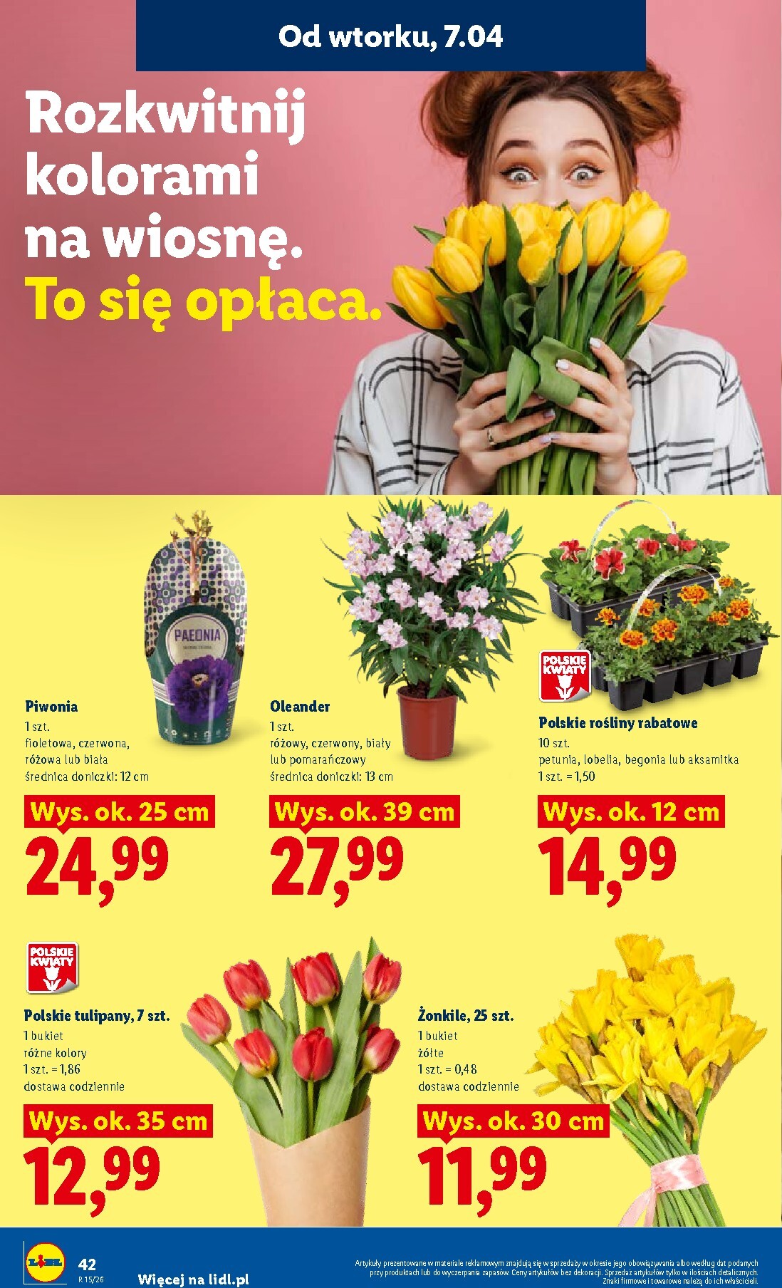 lidl - Gazetka Lidl - ważna od 07.04.2026 do 08.04.2026 - page: 46