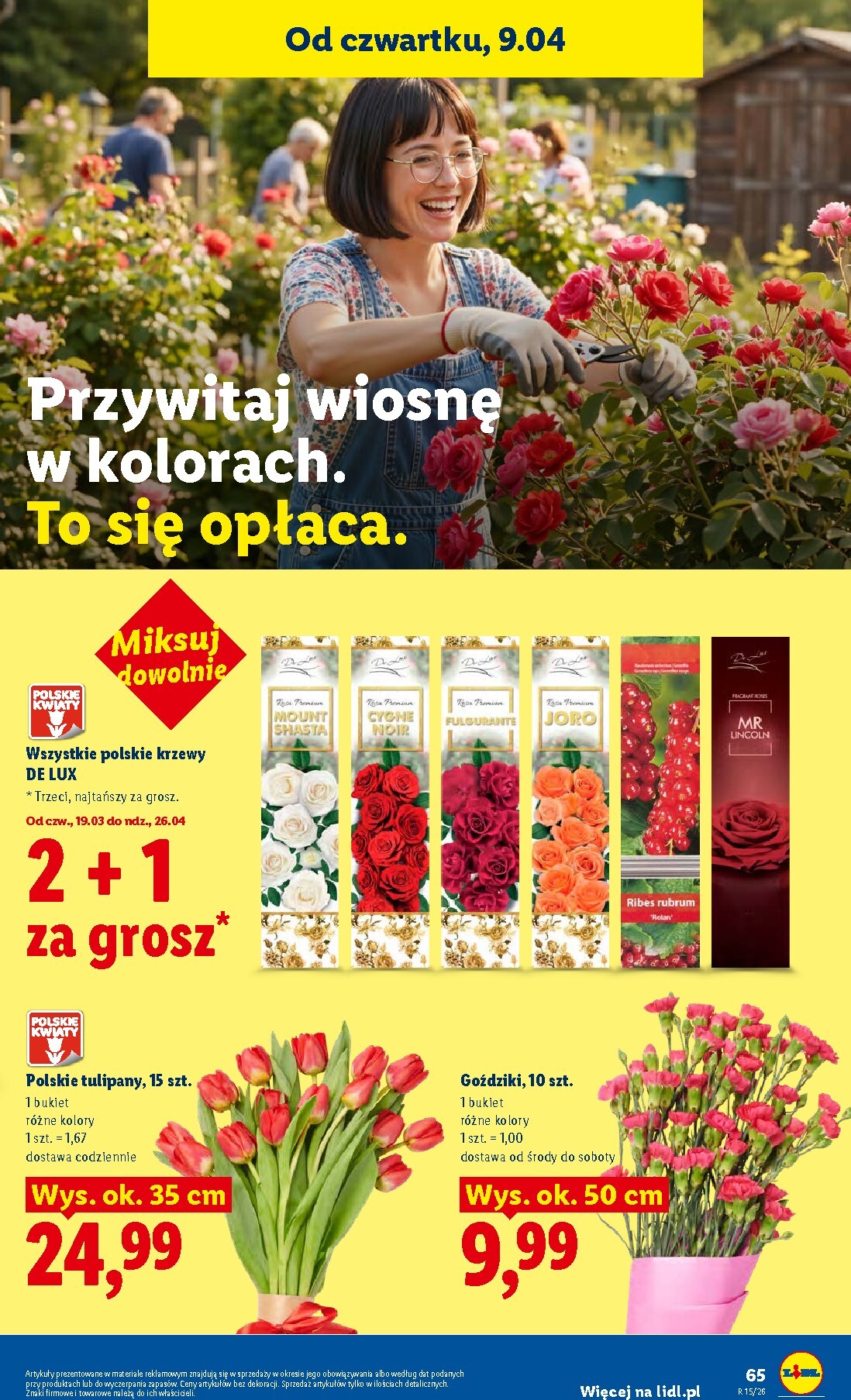 lidl - Nowa gazetka Lidl ważna od 09.04.2026 do 11.04.2026 - page: 65