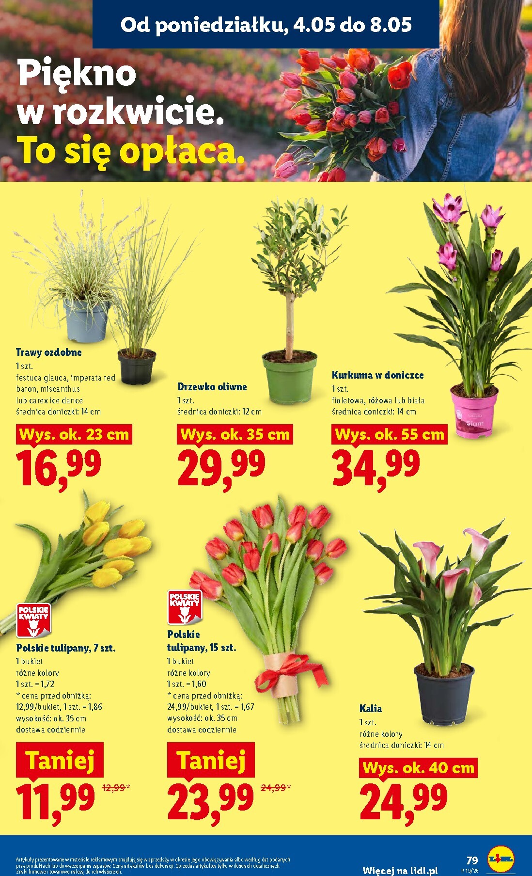 lidl - Nowa gazetka Lidl ważna od 04.05.2026 do 06.05.2026 - page: 85