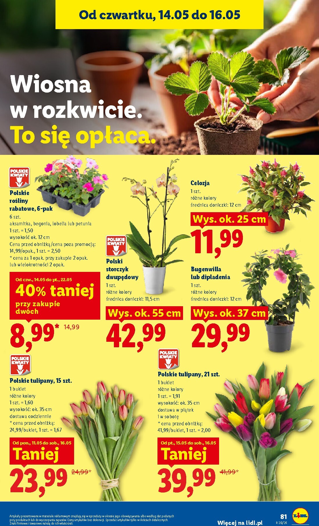 lidl - Aktualna gazetka Lidl ważna od 14.05.2026 do 16.05.2026 - page: 89