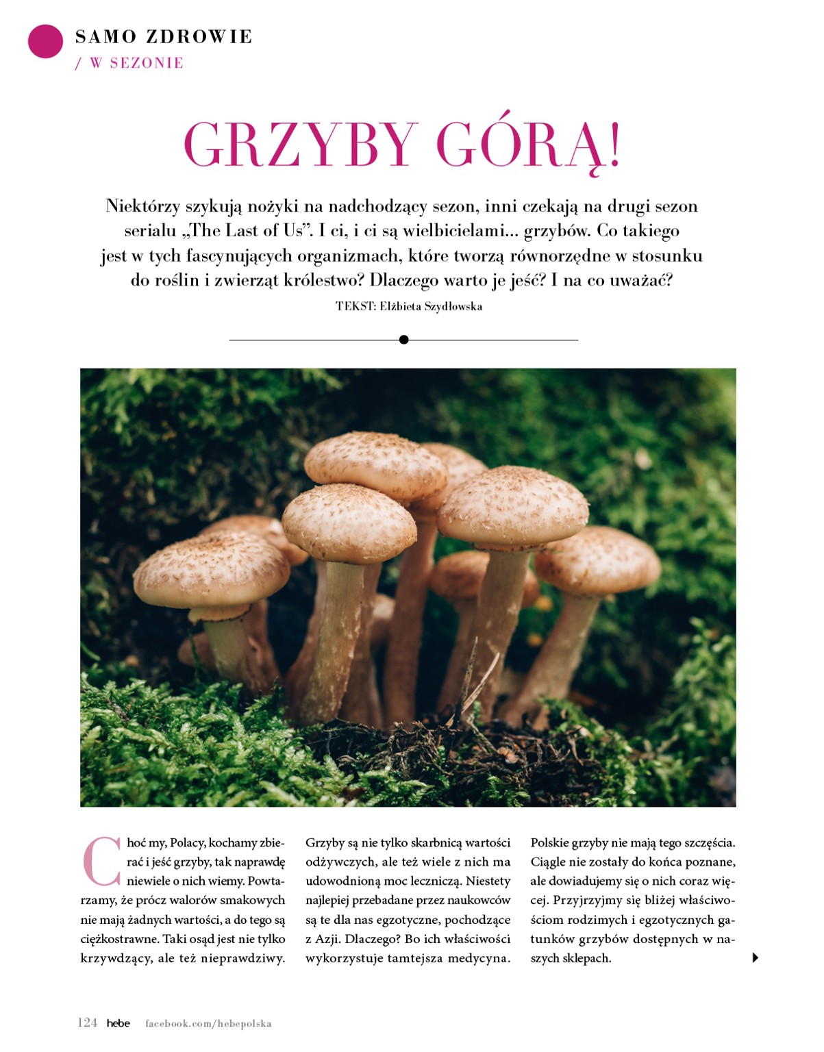 hebe - Hebe - Magazyn gazetka ważna od 01.05. - 30.06. - page: 124 hebe - Hebe - Magazyn gazetka ważna od 01.05. - 30.06. - page: 124