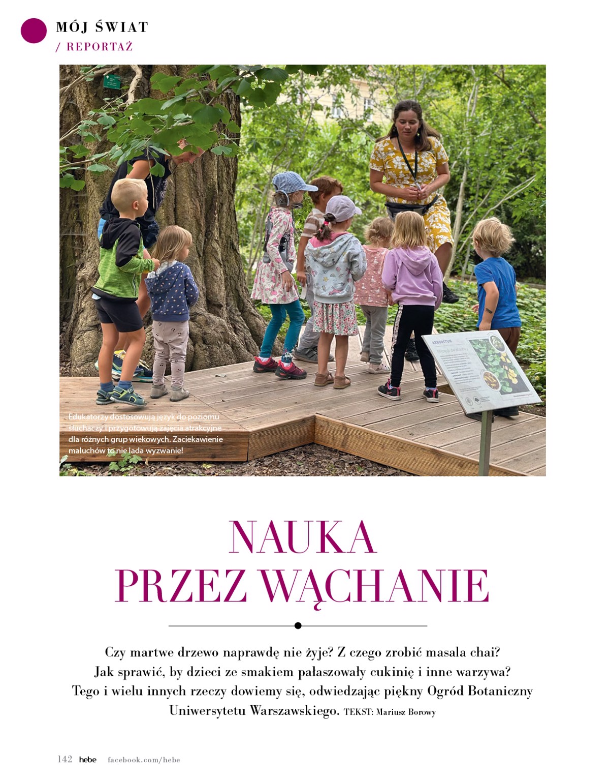 hebe - Hebe - Magazyn gazetka ważna od 01.05. - 30.06. - page: 142 hebe - Hebe - Magazyn gazetka ważna od 01.05. - 30.06. - page: 142