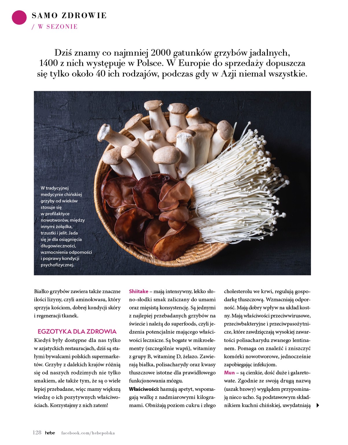 hebe - Hebe - Magazyn gazetka ważna od 01.05. - 30.06. - page: 128 hebe - Hebe - Magazyn gazetka ważna od 01.05. - 30.06. - page: 128