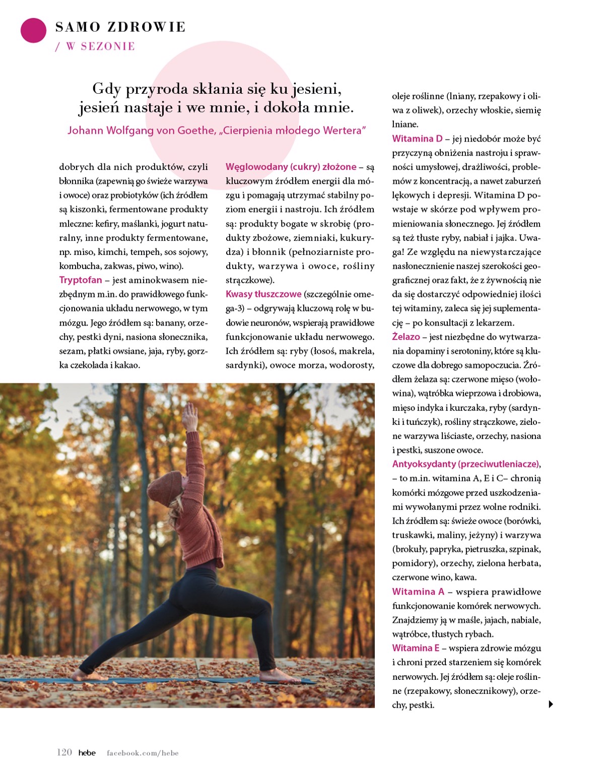 hebe - Gazetka Hebe - Magazyn - ważna od 01.09. do 31.10. - page: 120