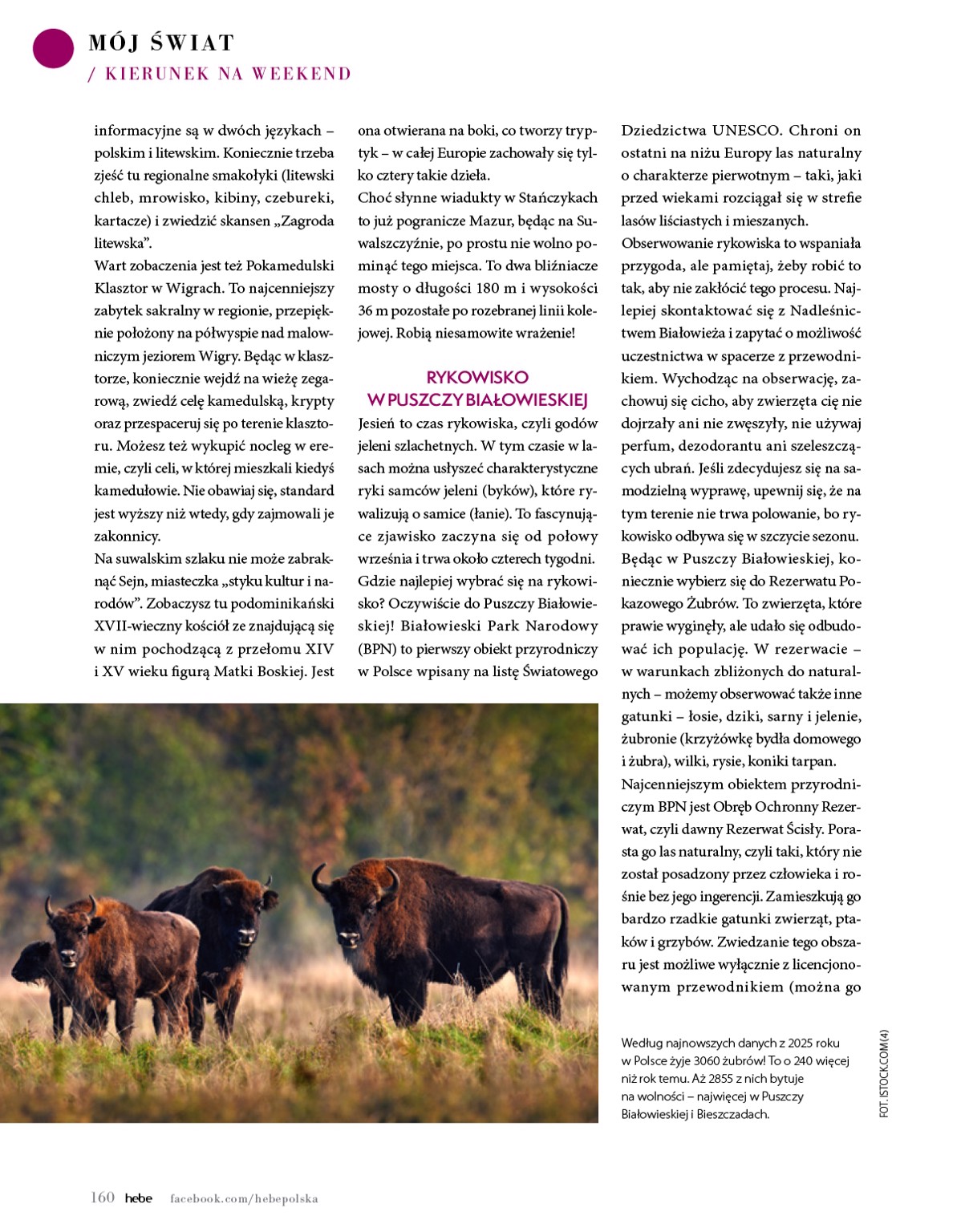 hebe - Gazetka Hebe - Magazyn - ważna od 01.09. do 31.10. - page: 160