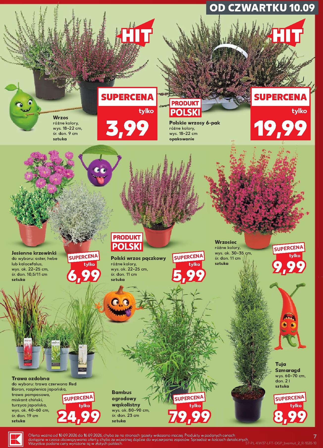 kaufland - Nowa gazetka Kaufland ważna od 10.09.2026 do 16.09.2026 - page: 7