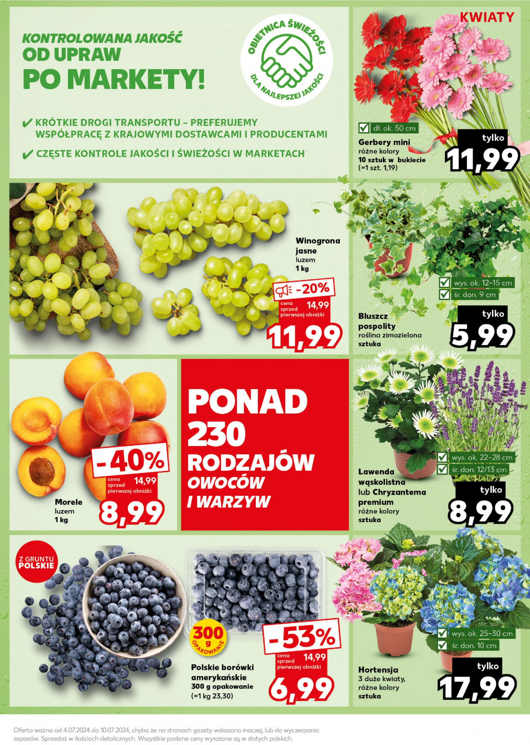 kaufland - Kaufland - Mocny Start gazetka aktualna ważna od 08.07. - 10.07. - page: 11