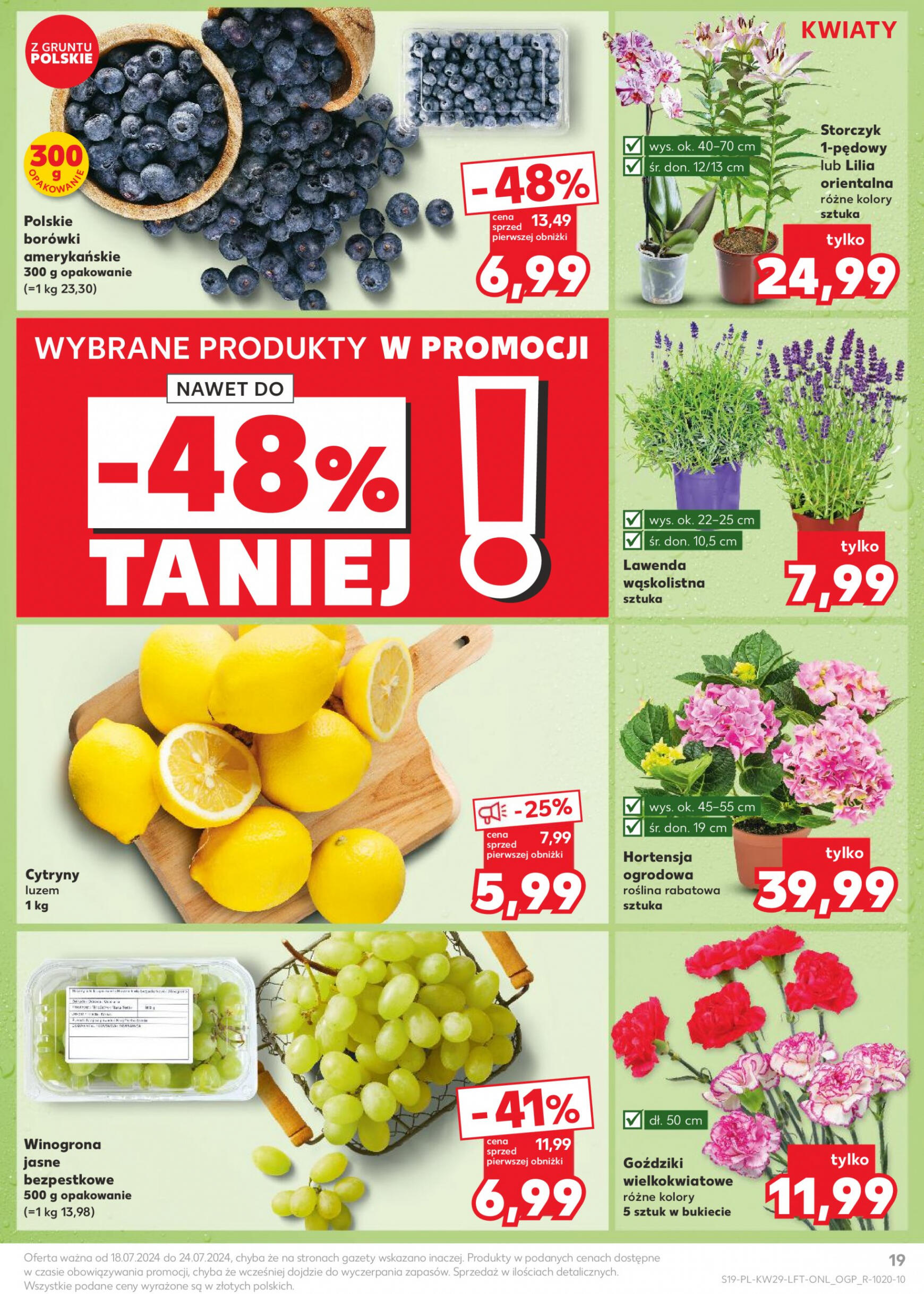 kaufland - Kaufland gazetka aktualna ważna od 18.07. - 24.07. - page: 19