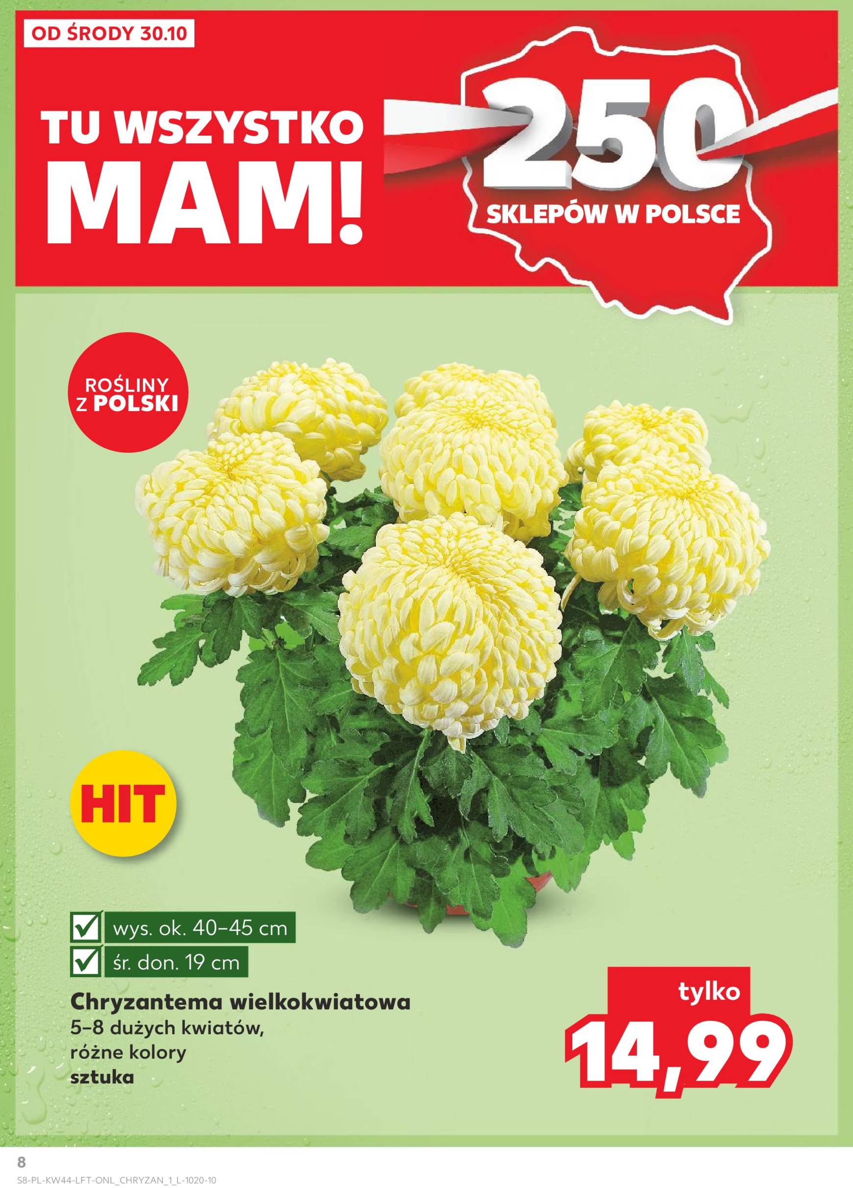 kaufland - Kaufland gazetka ważna od 30.10. - 06.11. - page: 8