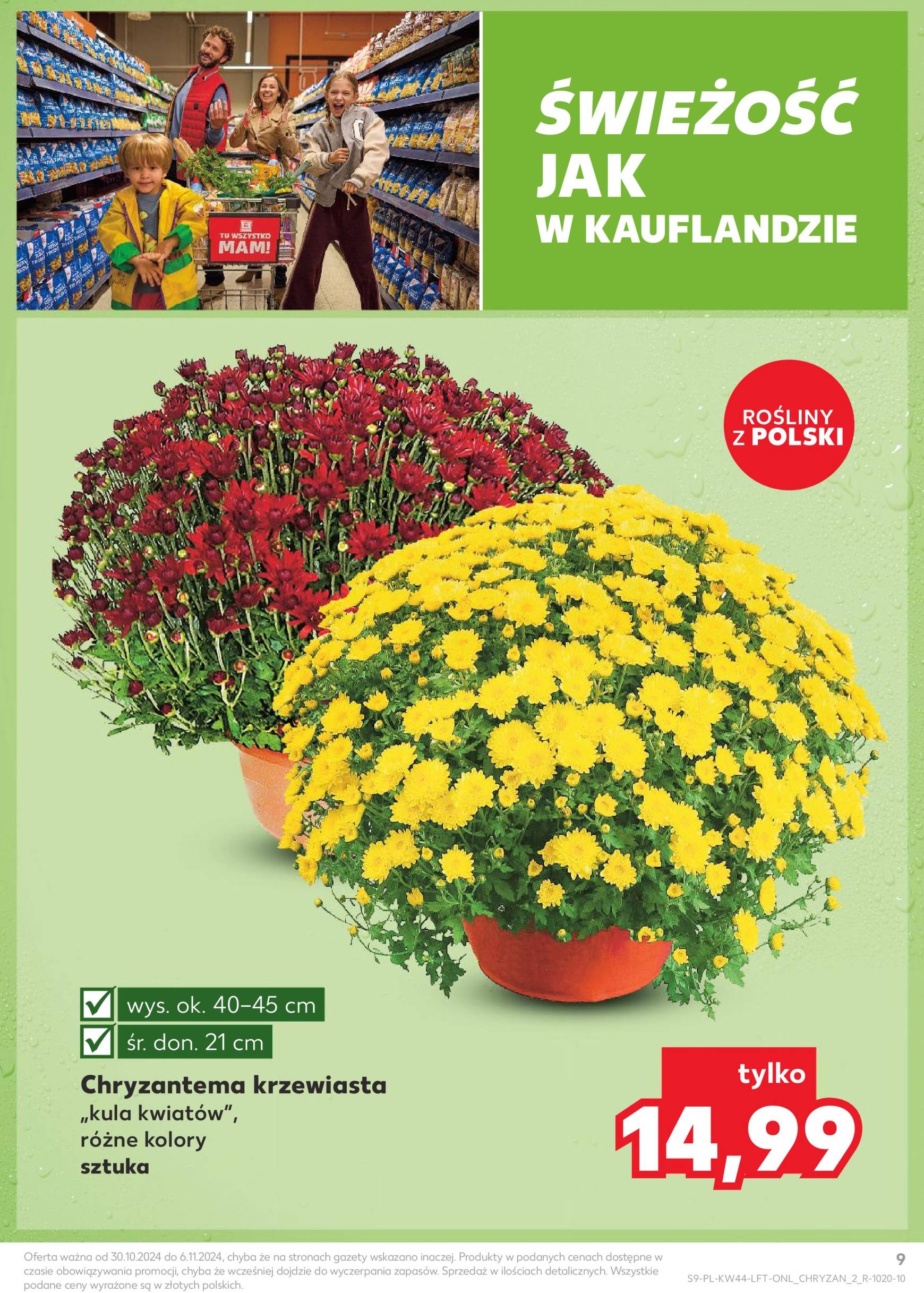 kaufland - Kaufland gazetka ważna od 30.10. - 06.11. - page: 9