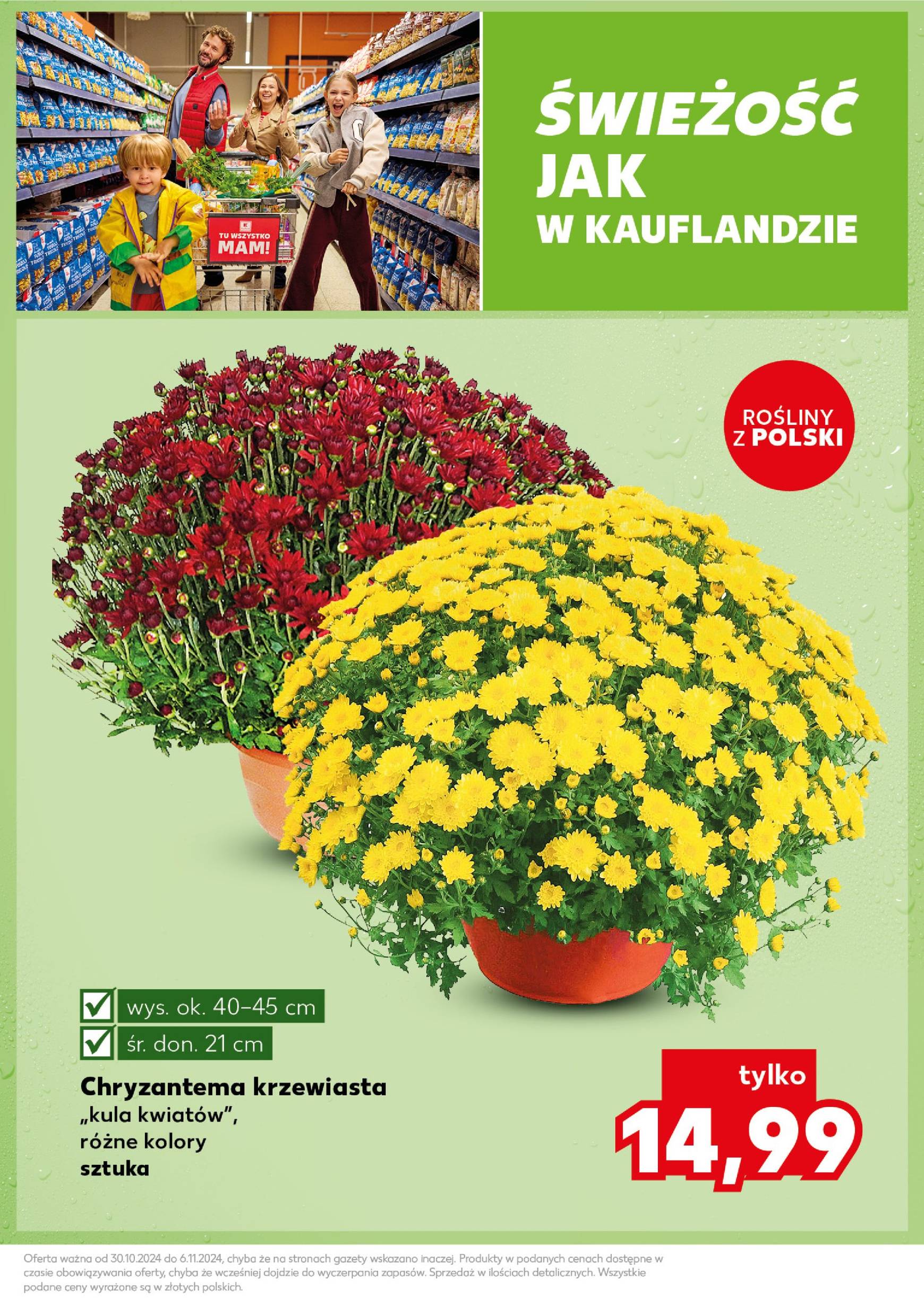 kaufland - Kaufland - Mocny Start gazetka ważna od 04.11. - 06.11. - page: 7