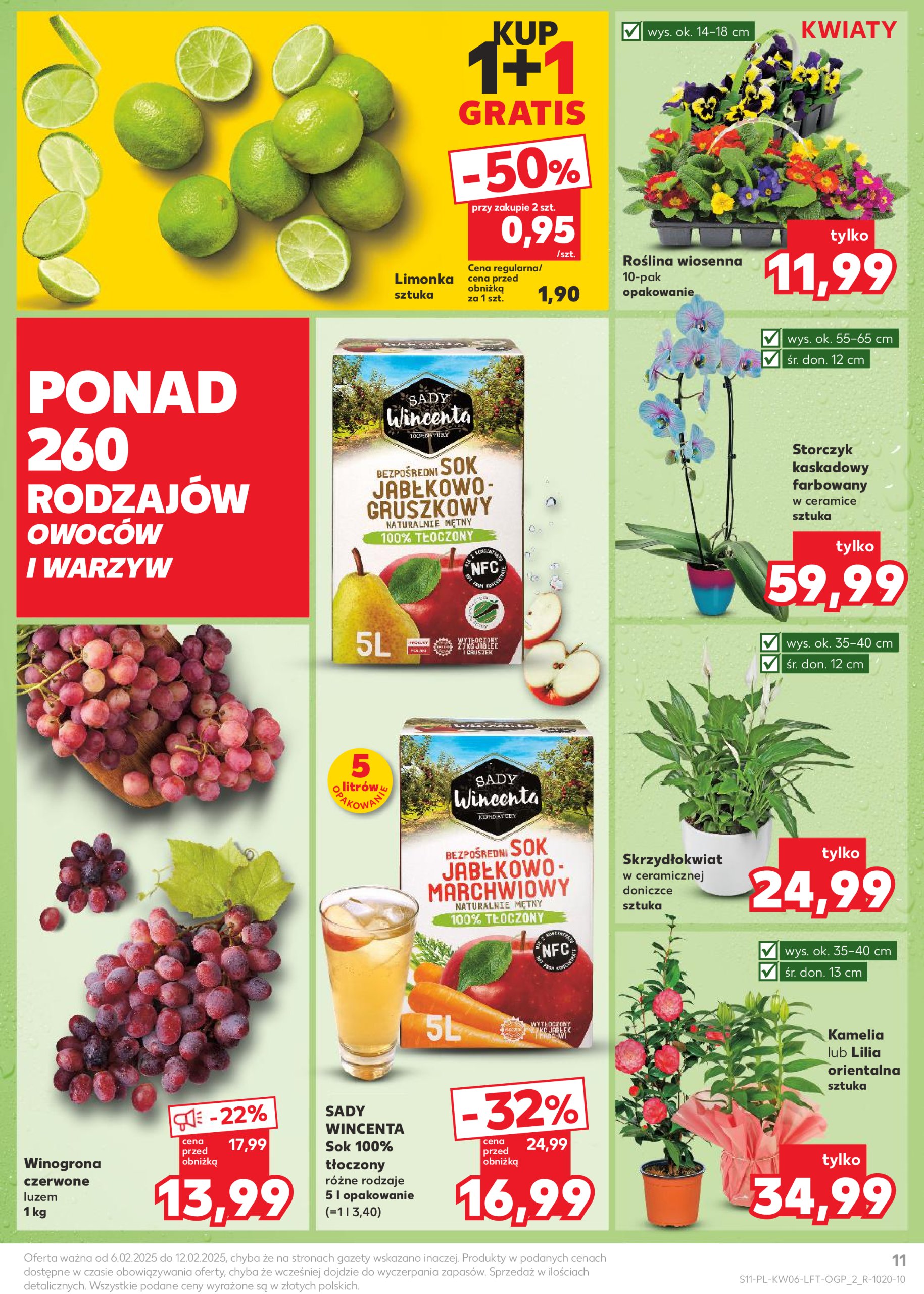 kaufland - Kaufland gazetka ważna od 06.02. - 12.02. - page: 11