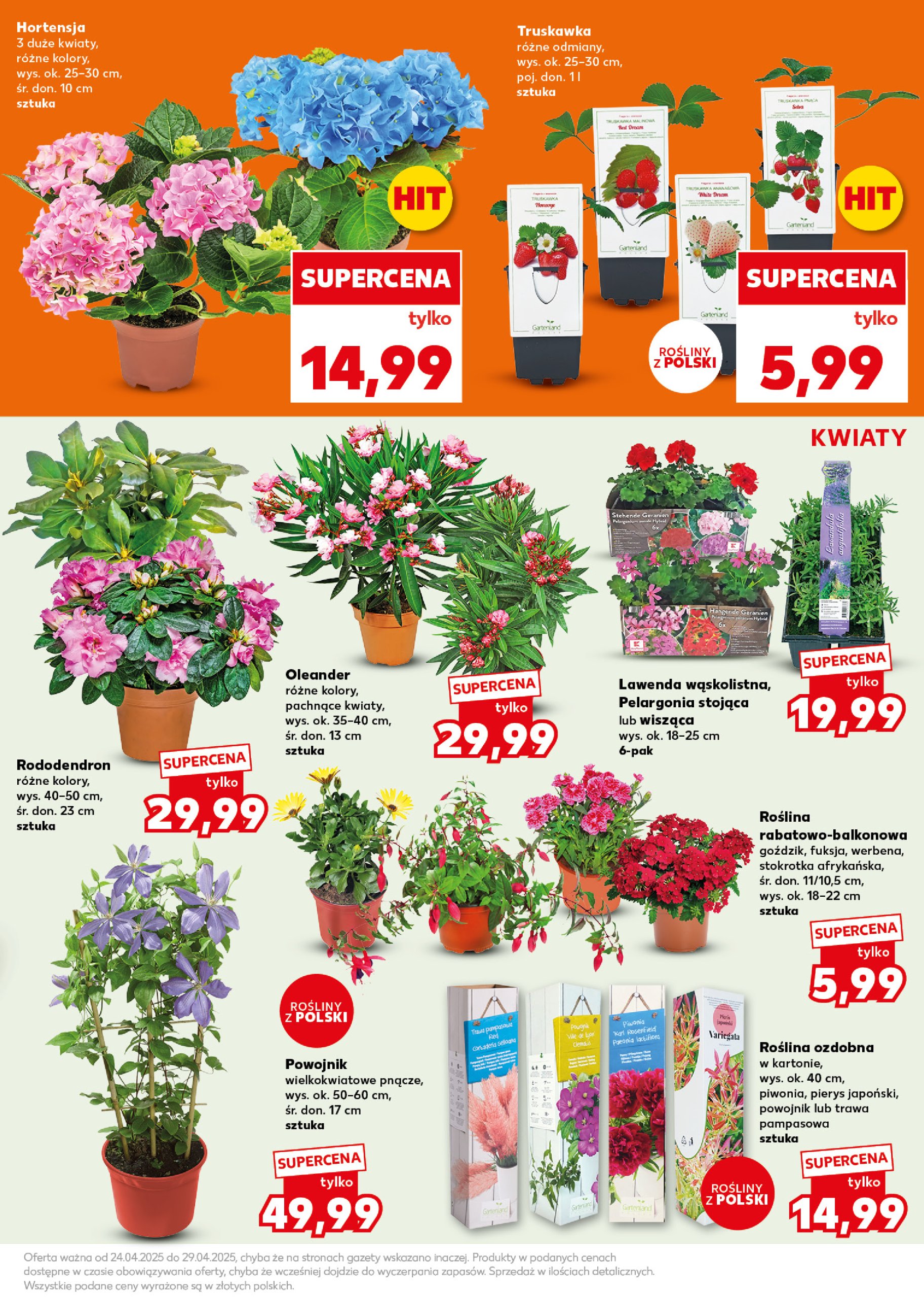 kaufland - Kaufland - Mocny start gazetka ważna od 28.04. - 08.05. - page: 19