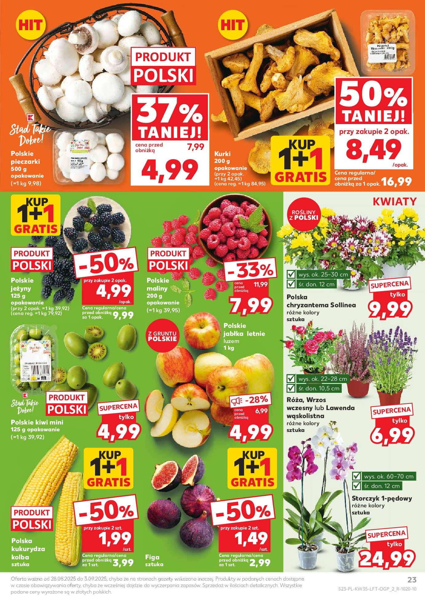 kaufland - Gazetka Kaufland - ważna od 28.08. do 03.09. - page: 23 kaufland - Gazetka Kaufland - ważna od 28.08. do 03.09. - page: 23