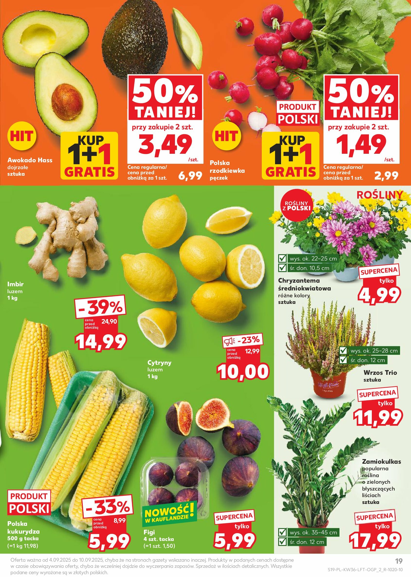 kaufland - Gazetka Kaufland - ważna od 04.09. do 10.09. - page: 19 kaufland - Gazetka Kaufland - ważna od 04.09. do 10.09. - page: 19
