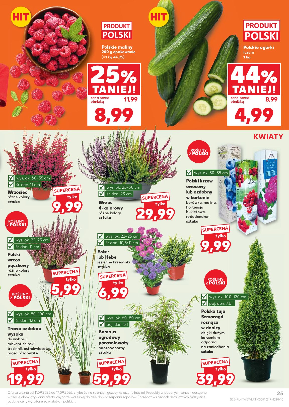 kaufland - Gazetka Kaufland - ważna od 11.09. do 17.09. - page: 25 kaufland - Gazetka Kaufland - ważna od 11.09. do 17.09. - page: 25