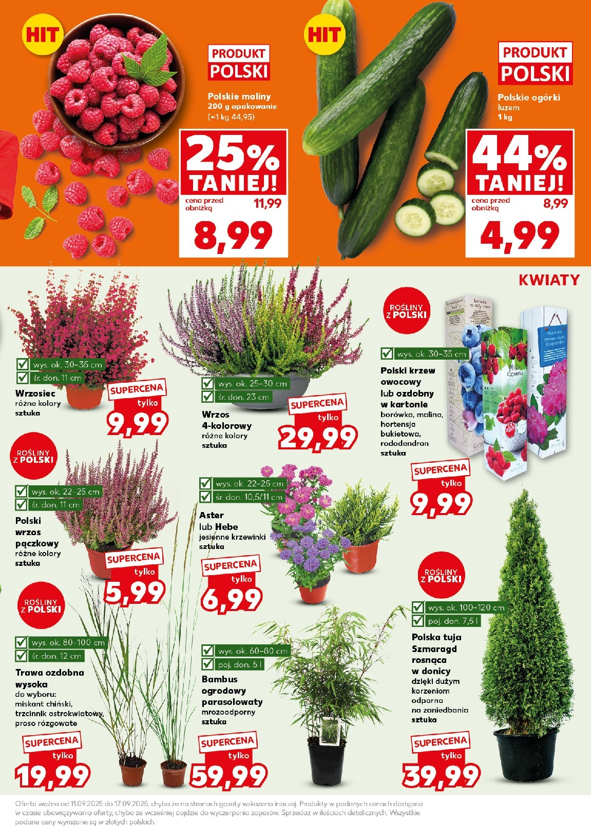 kaufland - Gazetka Kaufland - Mocny Start - ważna od 15.09. do 17.09. - page: 13
