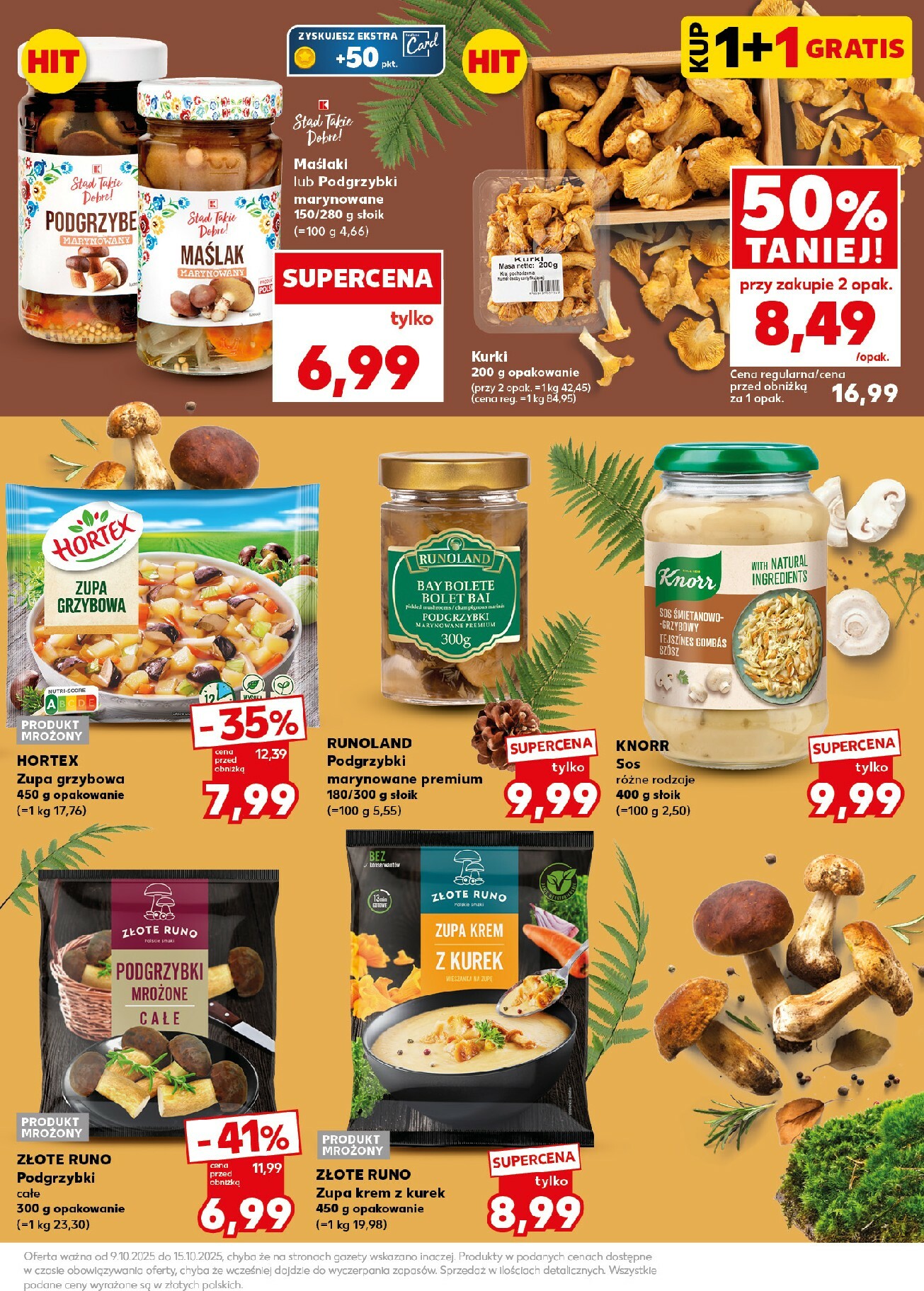 kaufland - Gazetka Kaufland - Mocny Start - ważna od 13.10. do 15.10. - page: 19