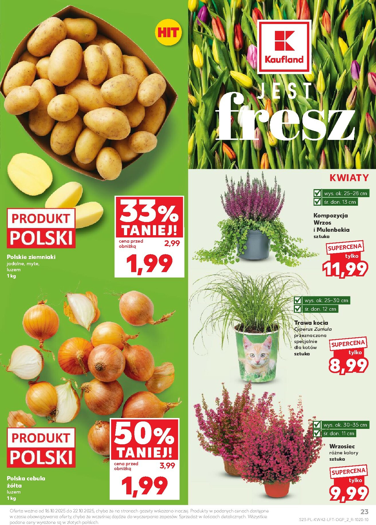 kaufland - Gazetka Kaufland - ważna od 16.10. do 22.10. - page: 23 kaufland - Gazetka Kaufland - ważna od 16.10. do 22.10. - page: 23