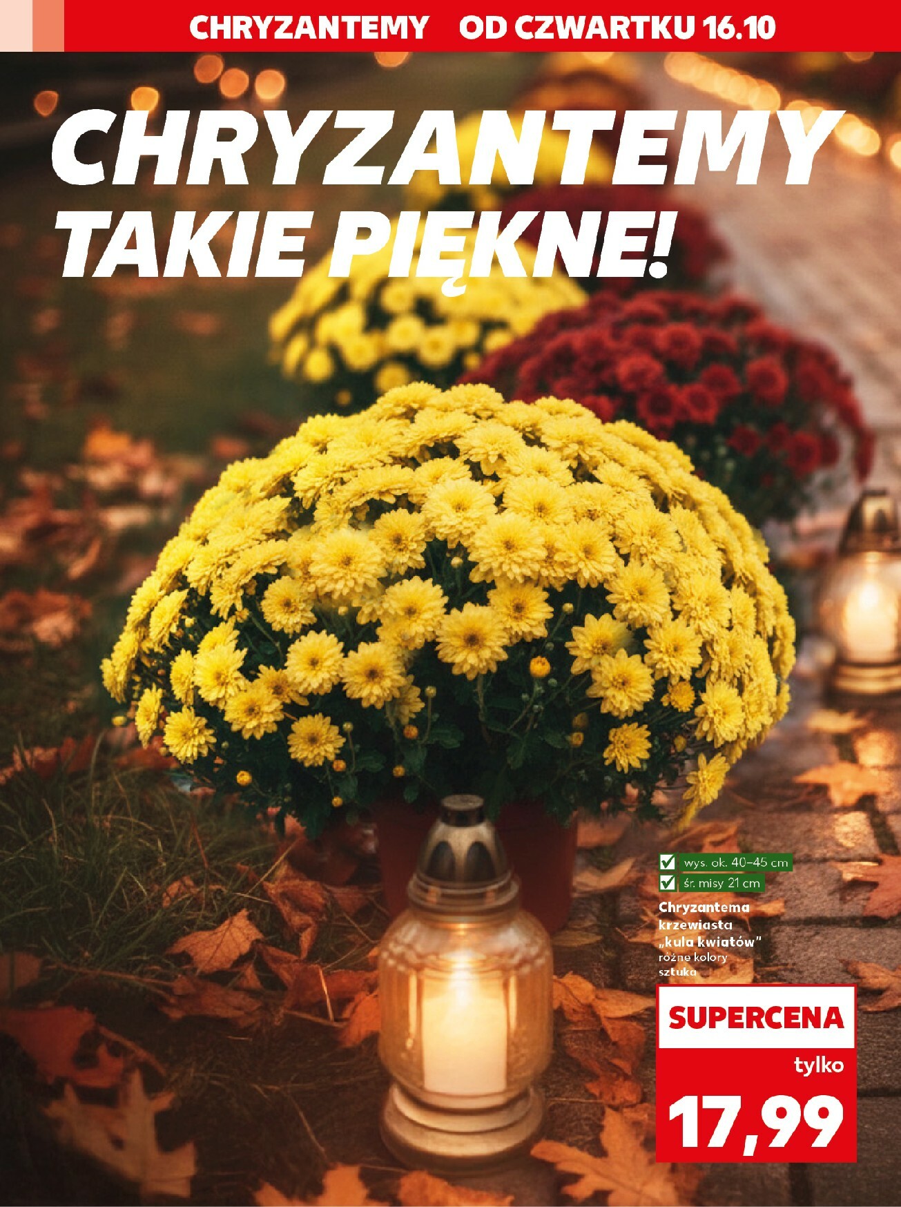 kaufland - Gazetka Kaufland - Pamietaj, dbaj - ważna od 16.10. do 22.10. - page: 2