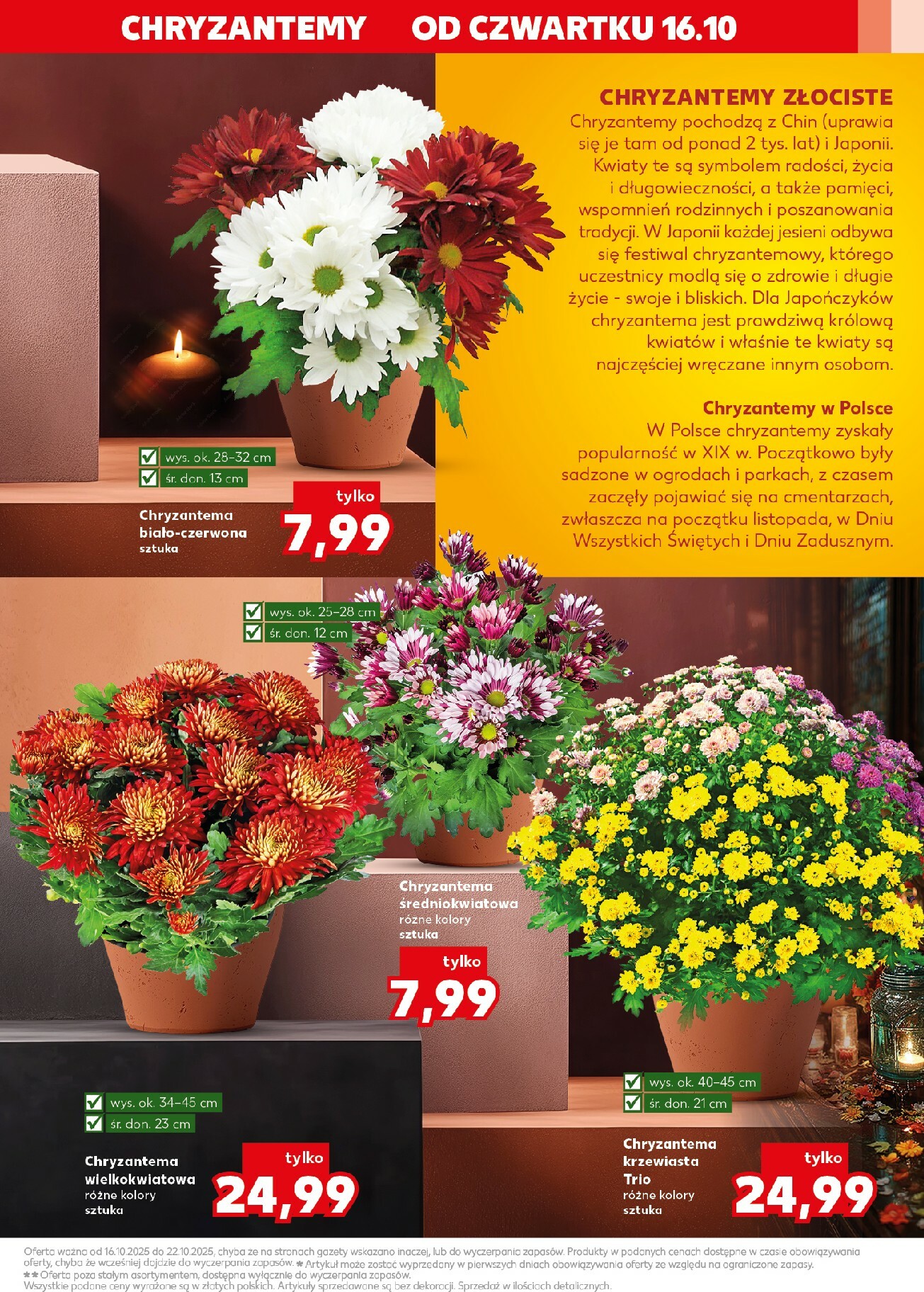 kaufland - Gazetka Kaufland - Pamietaj, dbaj - ważna od 16.10. do 22.10. - page: 3