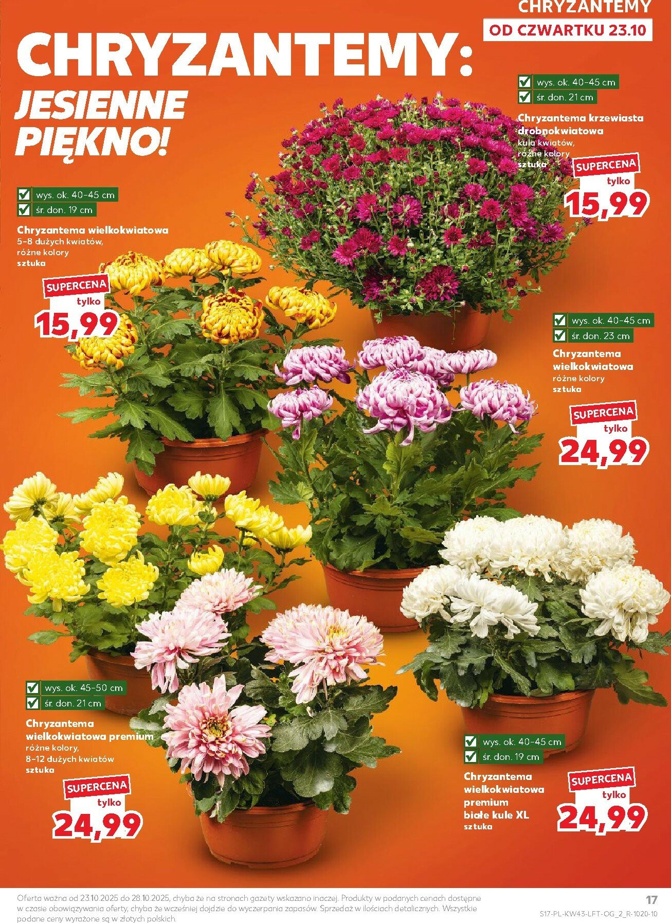 kaufland - Gazetka Kaufland - ważna od 23.10. do 28.10. - page: 17 kaufland - Gazetka Kaufland - ważna od 23.10. do 28.10. - page: 17