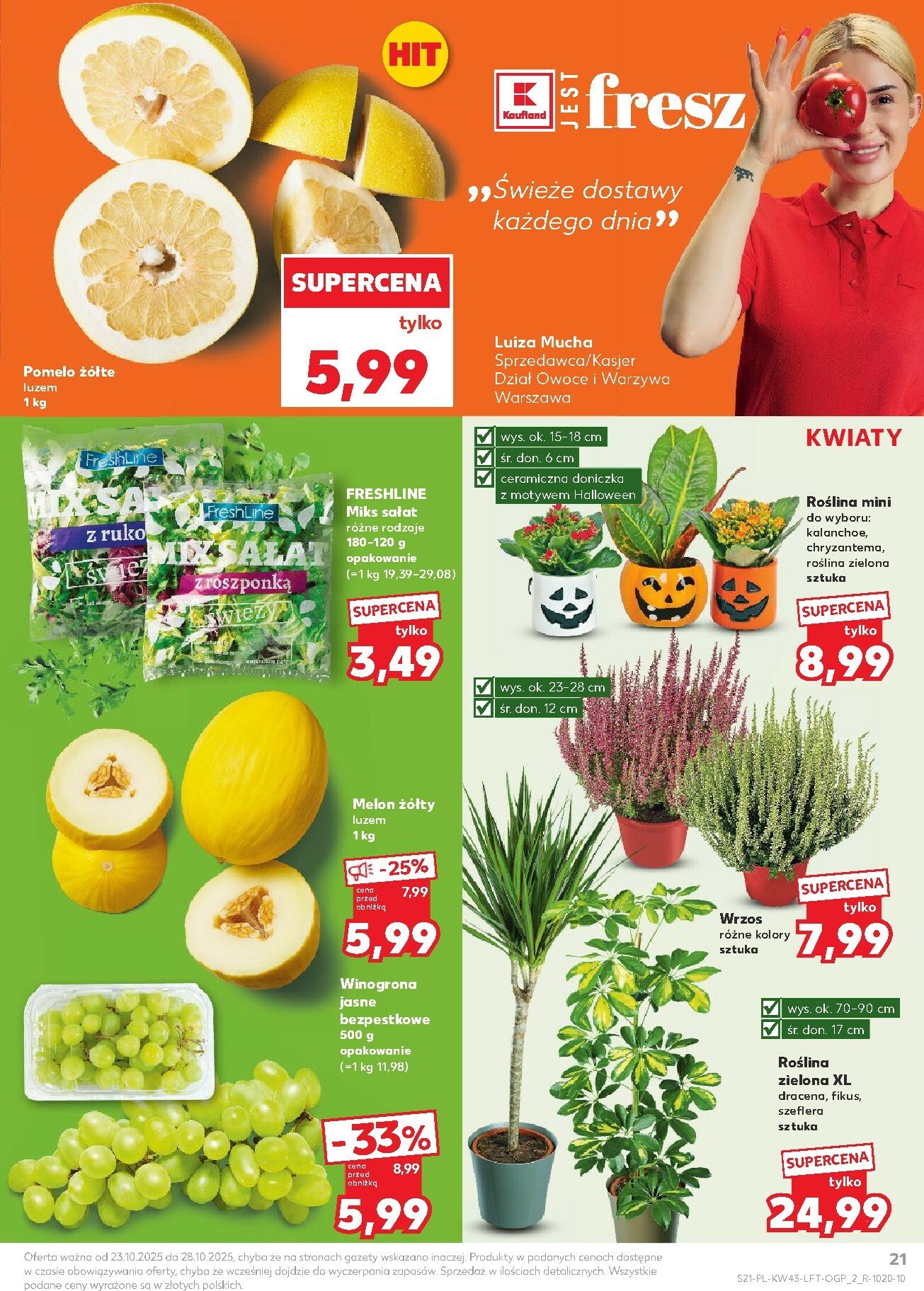 kaufland - Gazetka Kaufland - ważna od 23.10. do 28.10. - page: 21 kaufland - Gazetka Kaufland - ważna od 23.10. do 28.10. - page: 21