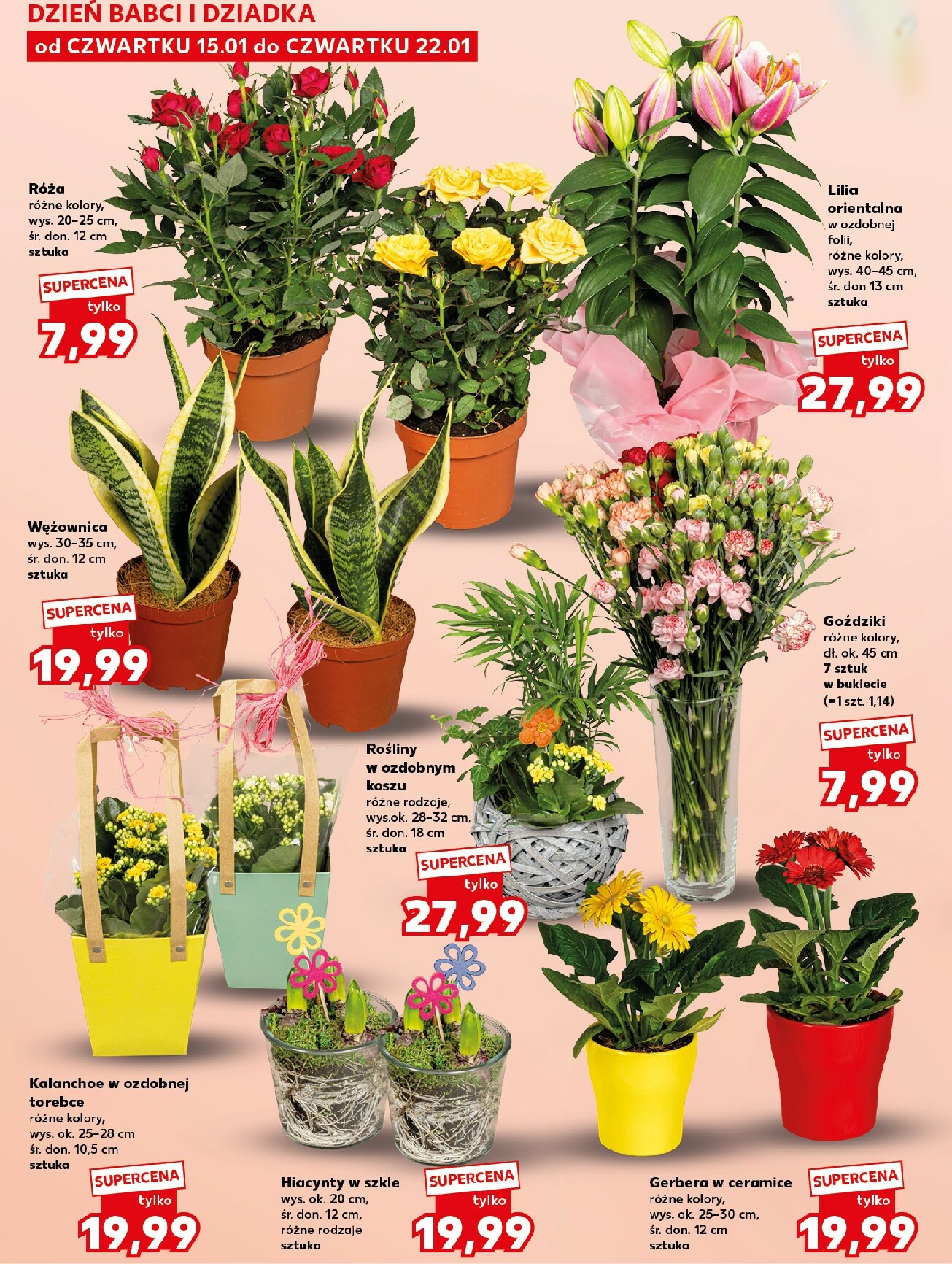 kaufland - Gazetka Kaufland - Mega Okazje - ważna od 15.01. do 21.01. - page: 14