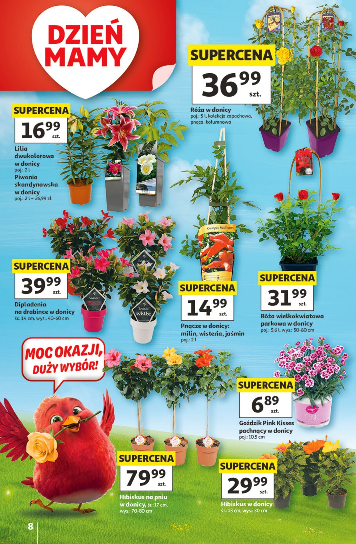 auchan - Nowa gazetka Hipermarket Auchan ważna od 21.05.2026 do 27.05.2026 - page: 8