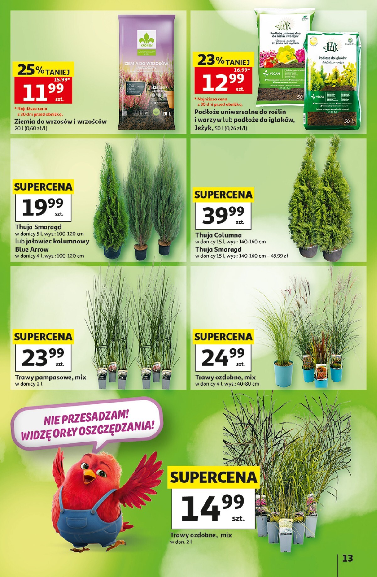 auchan - Nowa gazetka Hipermarket Auchan ważna od 03.09.2026 do 09.09.2026 - page: 13