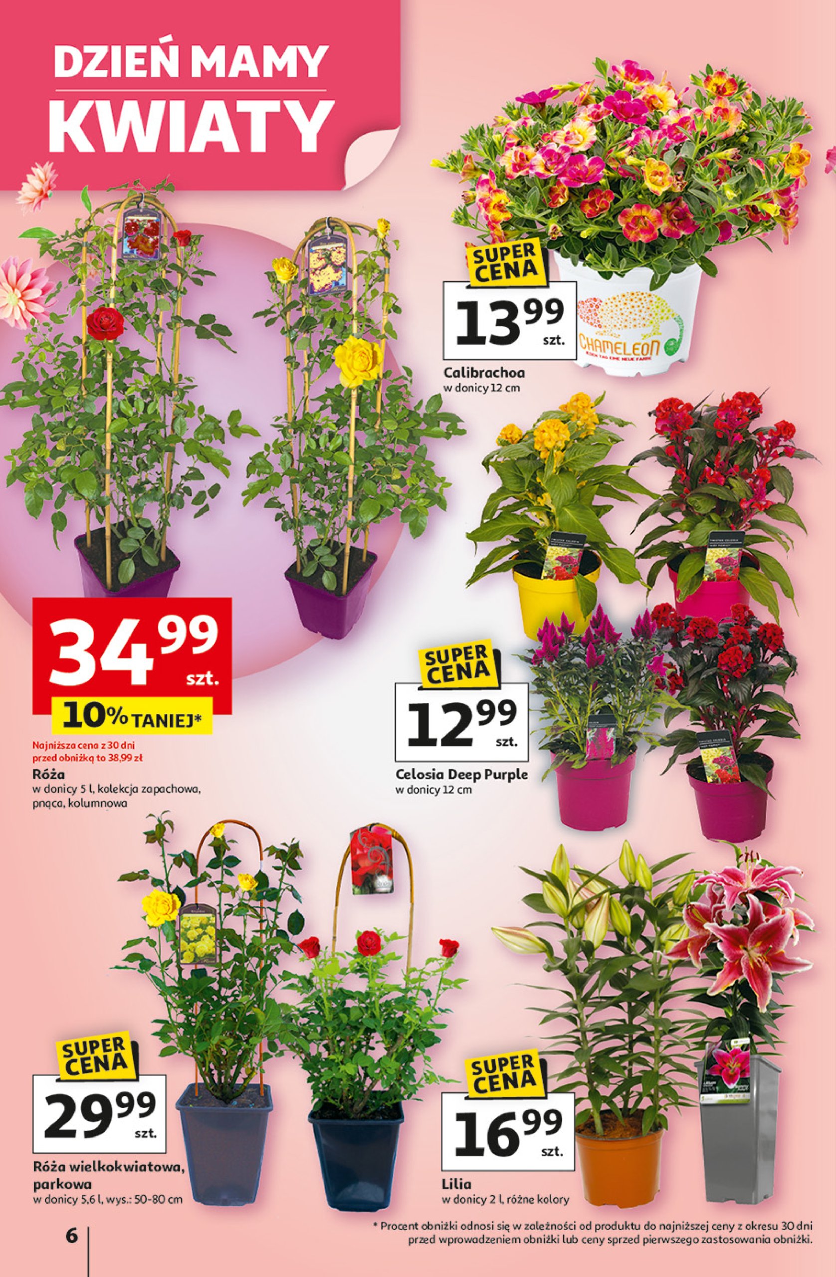auchan - Hipermarket Auchan gazetka ważna od 22.05. - 28.05. - page: 6 auchan - Hipermarket Auchan gazetka ważna od 22.05. - 28.05. - page: 6