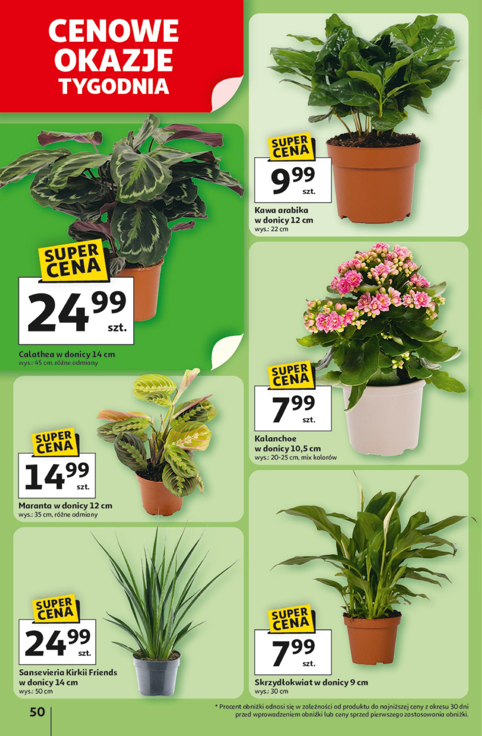 auchan - Gazetka Hipermarket Auchan ważna od 26.06. - 02.07. - page: 52 auchan - Gazetka Hipermarket Auchan ważna od 26.06. - 02.07. - page: 52