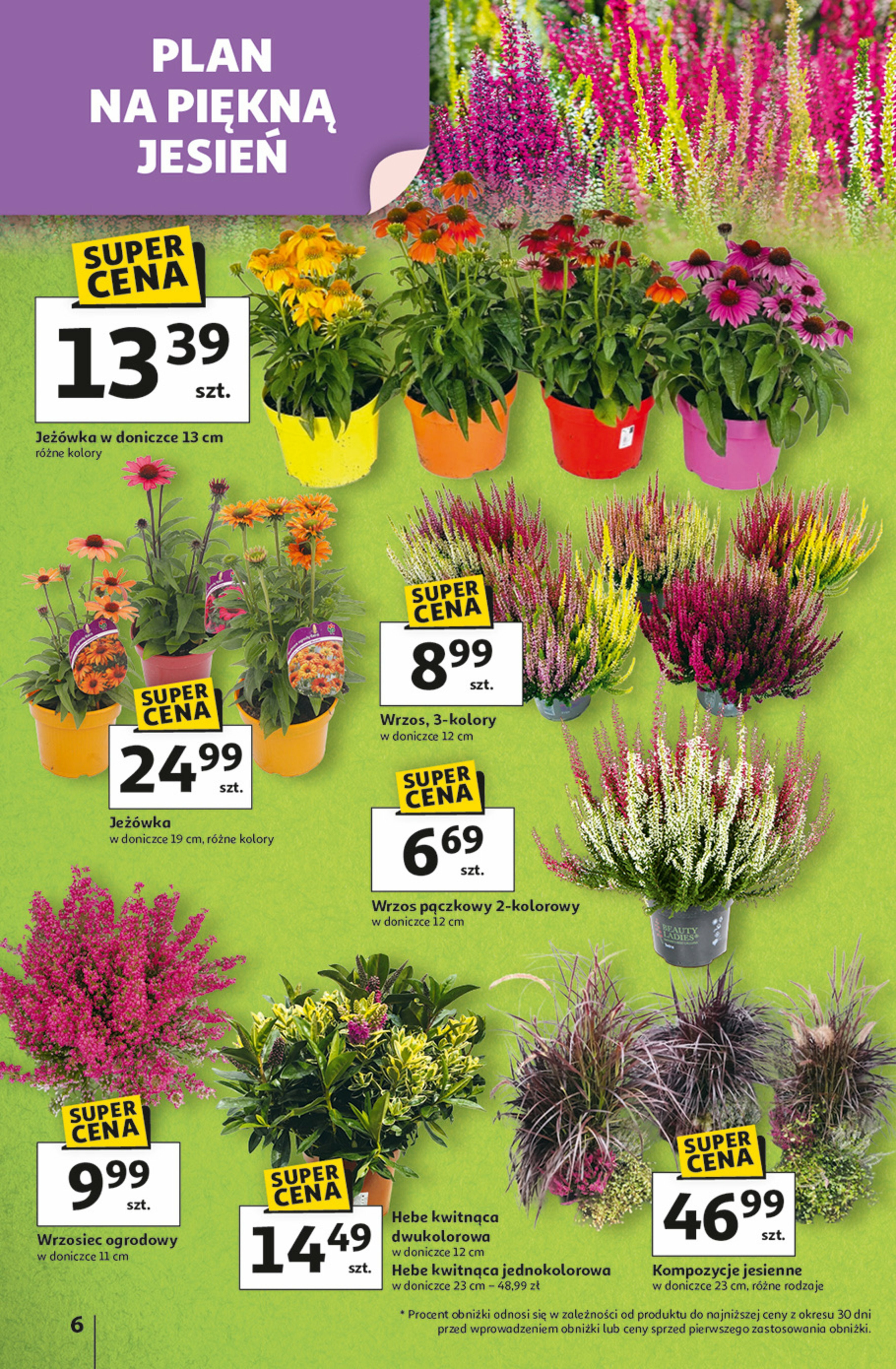 auchan - Gazetka Hipermarket Auchan - ważna od 04.09. do 10.09. - page: 6