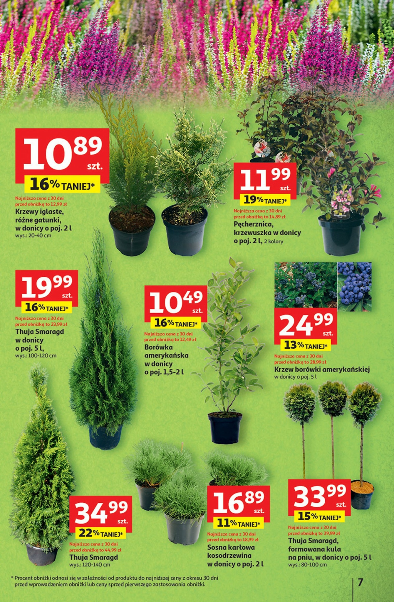 auchan - Gazetka Hipermarket Auchan - ważna od 11.09. do 17.09. - page: 7