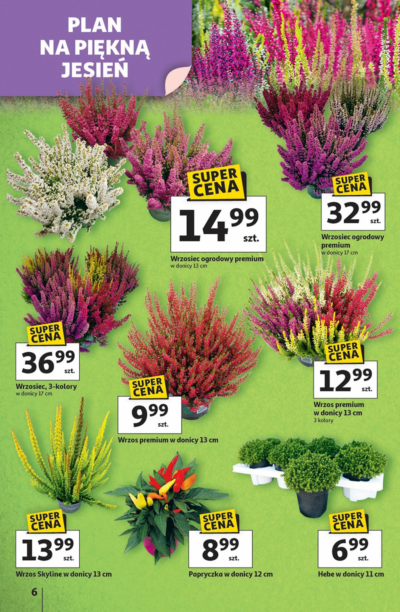 auchan - Gazetka Hipermarket Auchan - ważna od 11.09. do 17.09. - page: 6