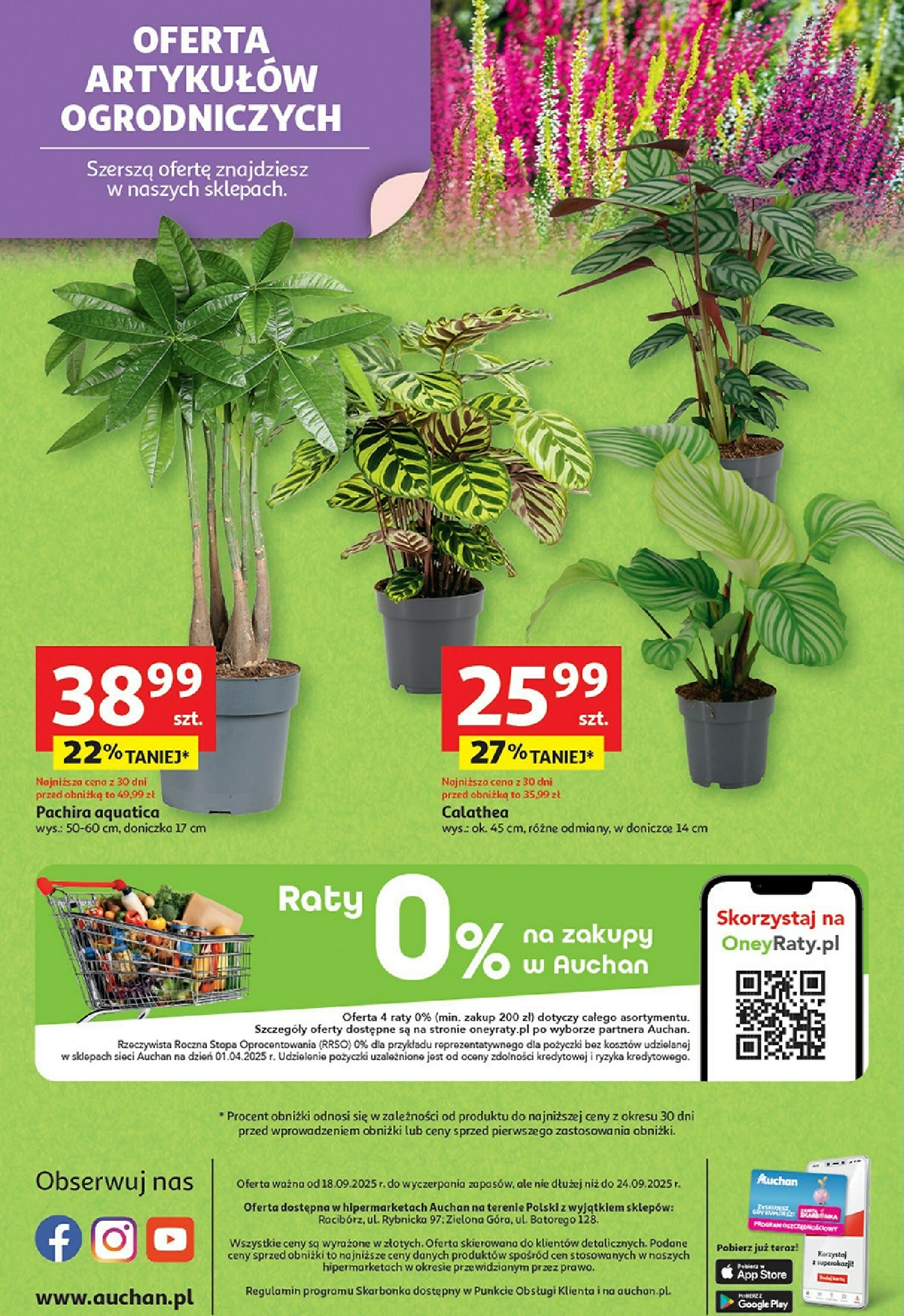 auchan - Gazetka Hipermarket Auchan - ważna od 18.09. do 24.09. - page: 45