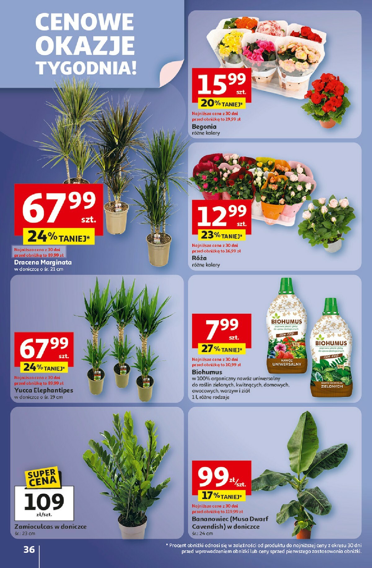 auchan - Gazetka Hipermarket Auchan - ważna od 02.10. do 08.10. - page: 36